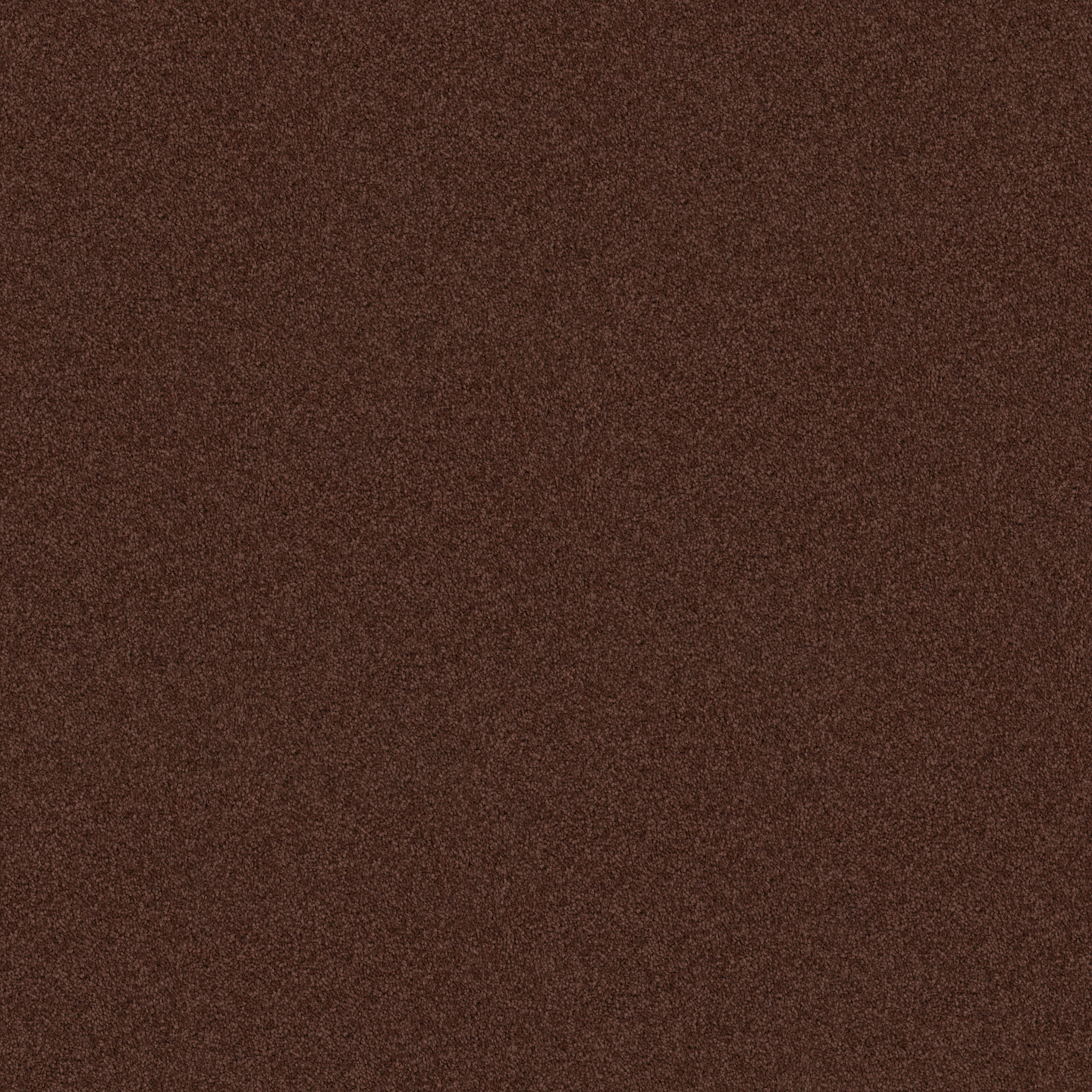 Modern Image 12' - Coffee - HGP19_55755