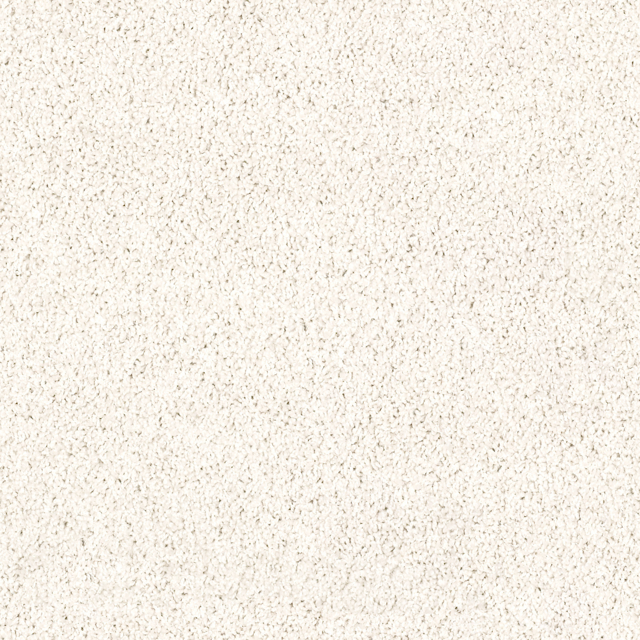 High Authority-Simply White-HGP34_00121