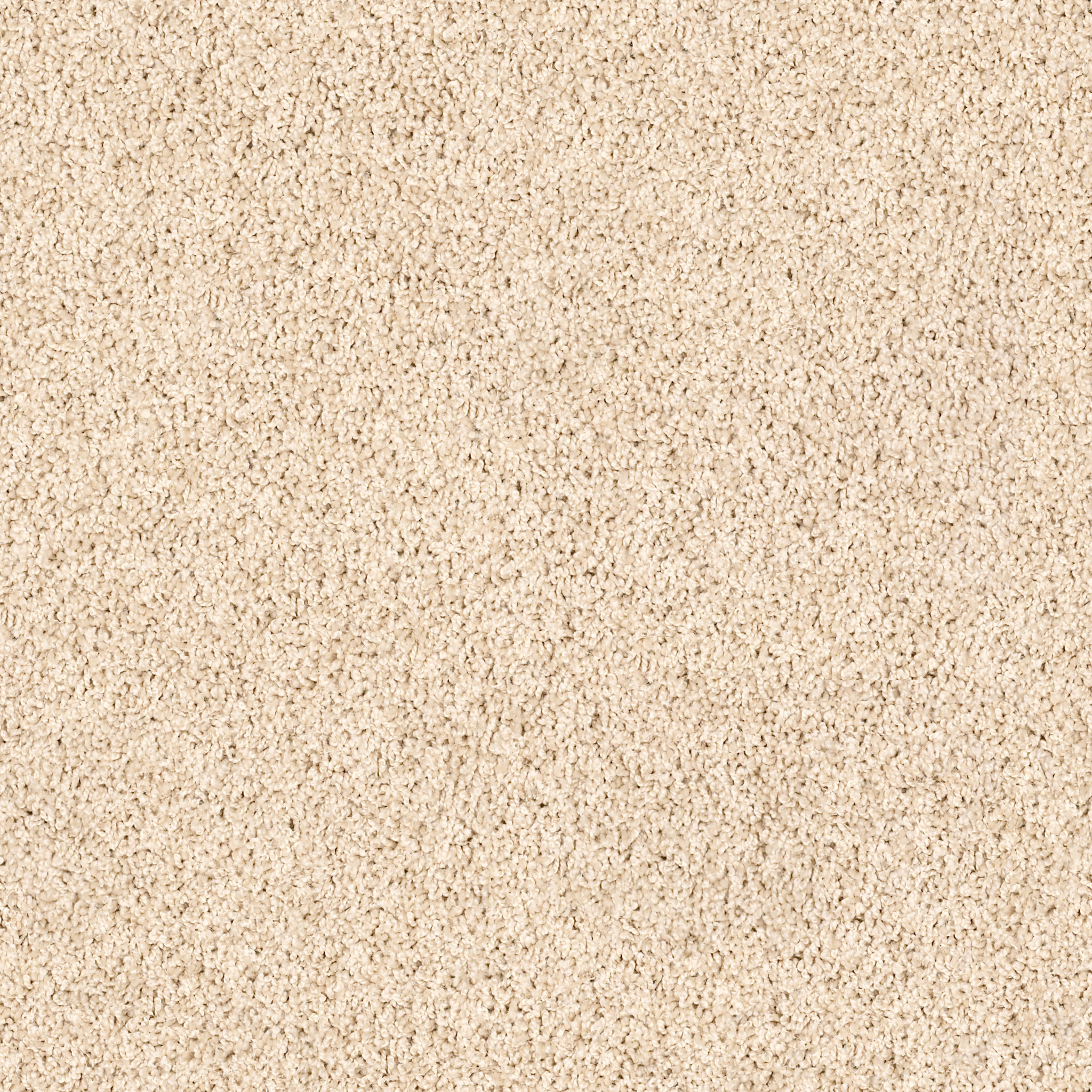 High Authority-Peanut-HGP34_00122