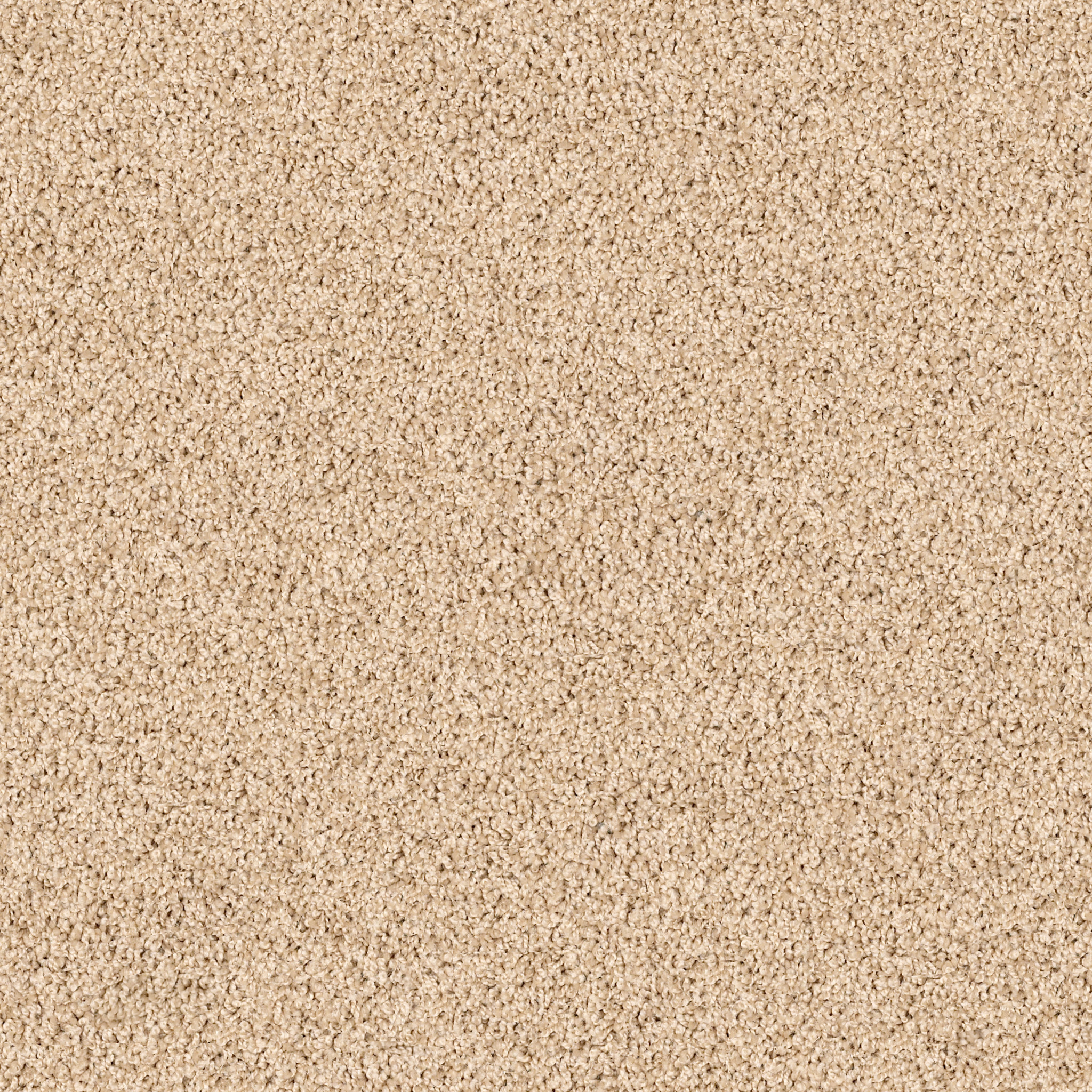 High Authority-Coffee-HGP34_00124