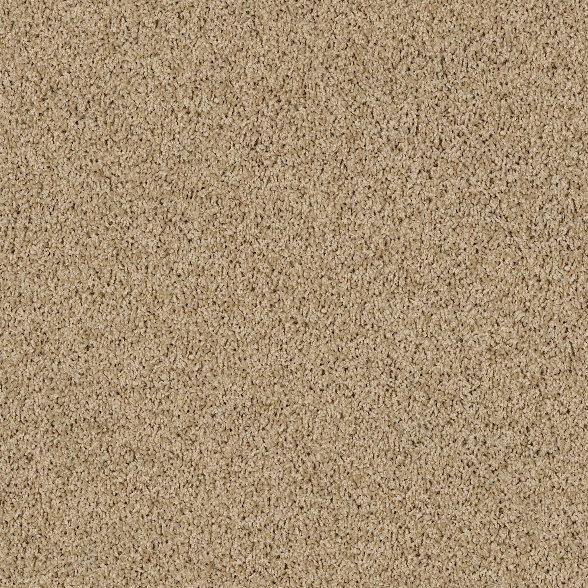 High Authority-Oatmeal-HGP34_00125