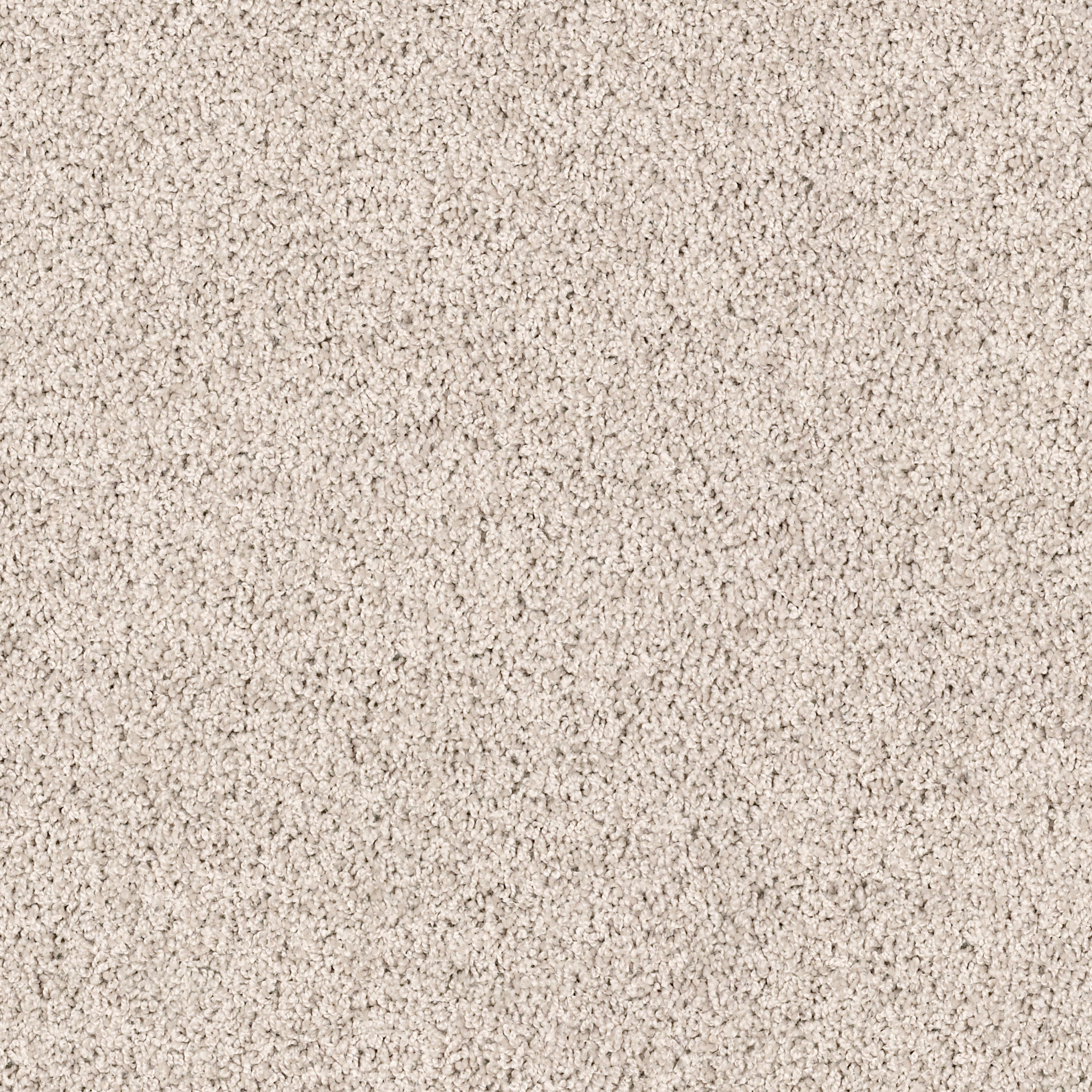 High Authority-Worldly-HGP34_00126