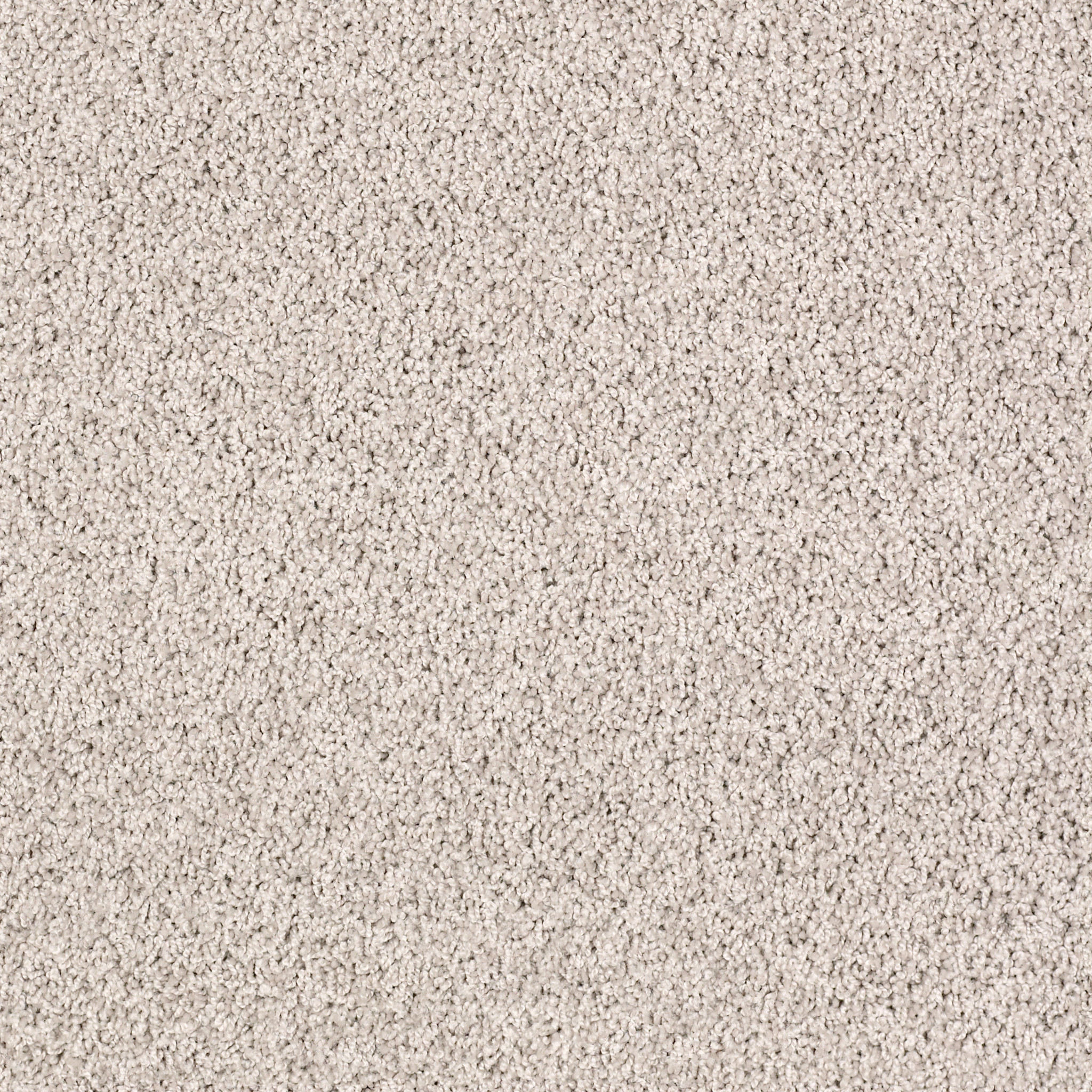 High Authority-Great Greige-HGP34_00127