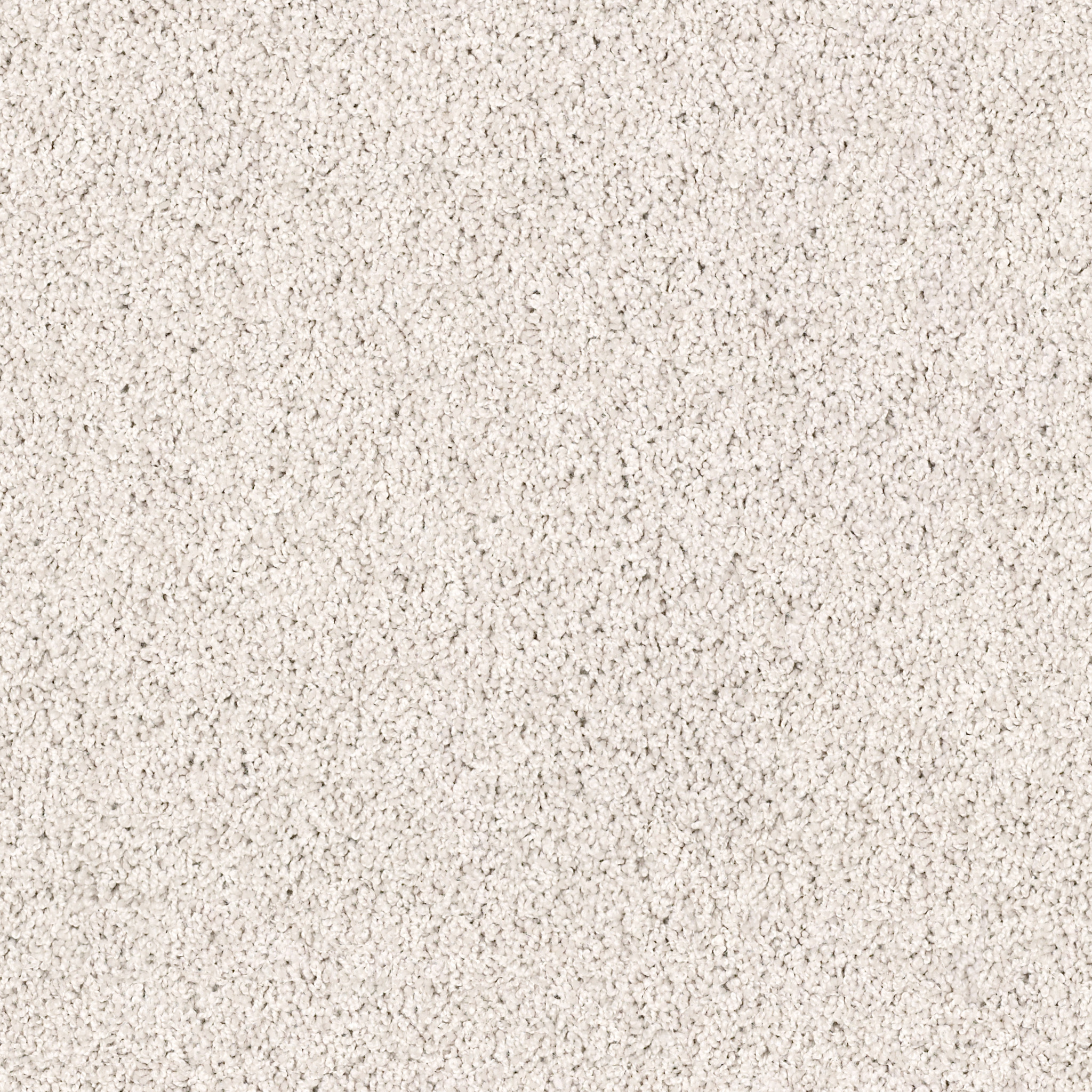 High Authority-Carrera-HGP34_00129