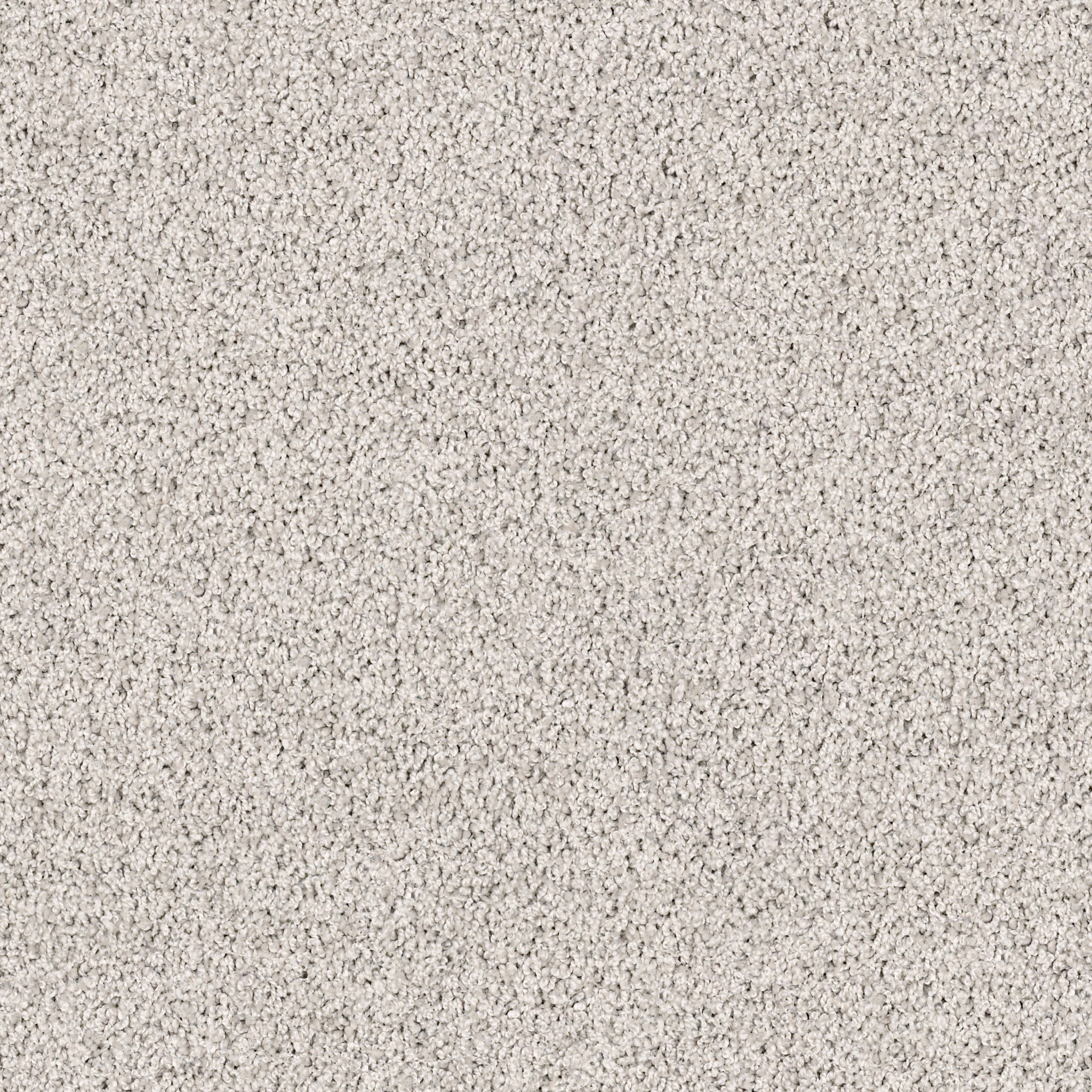 High Authority-Sterling-HGP34_00520