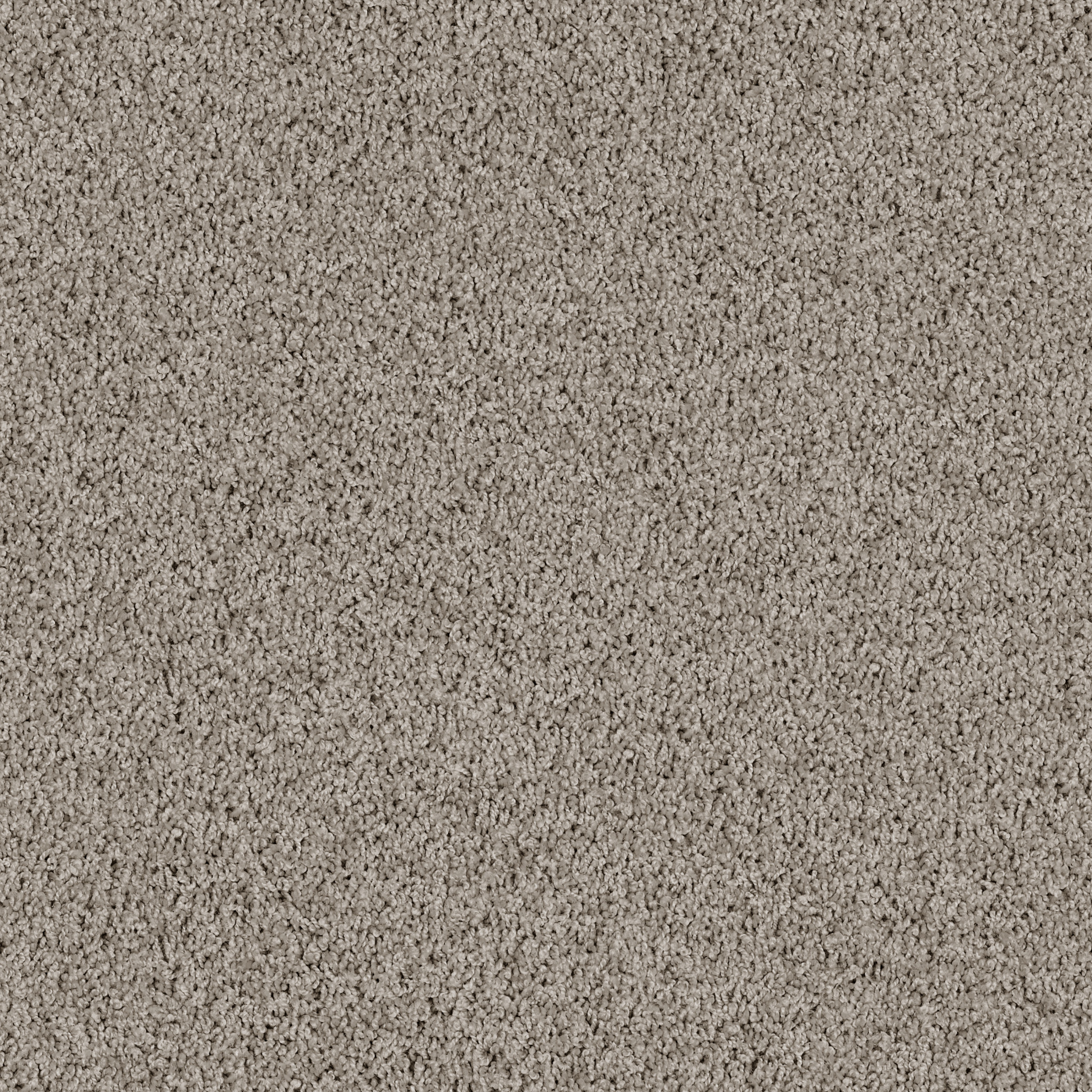 High Authority-Dovetail-HGP34_00521