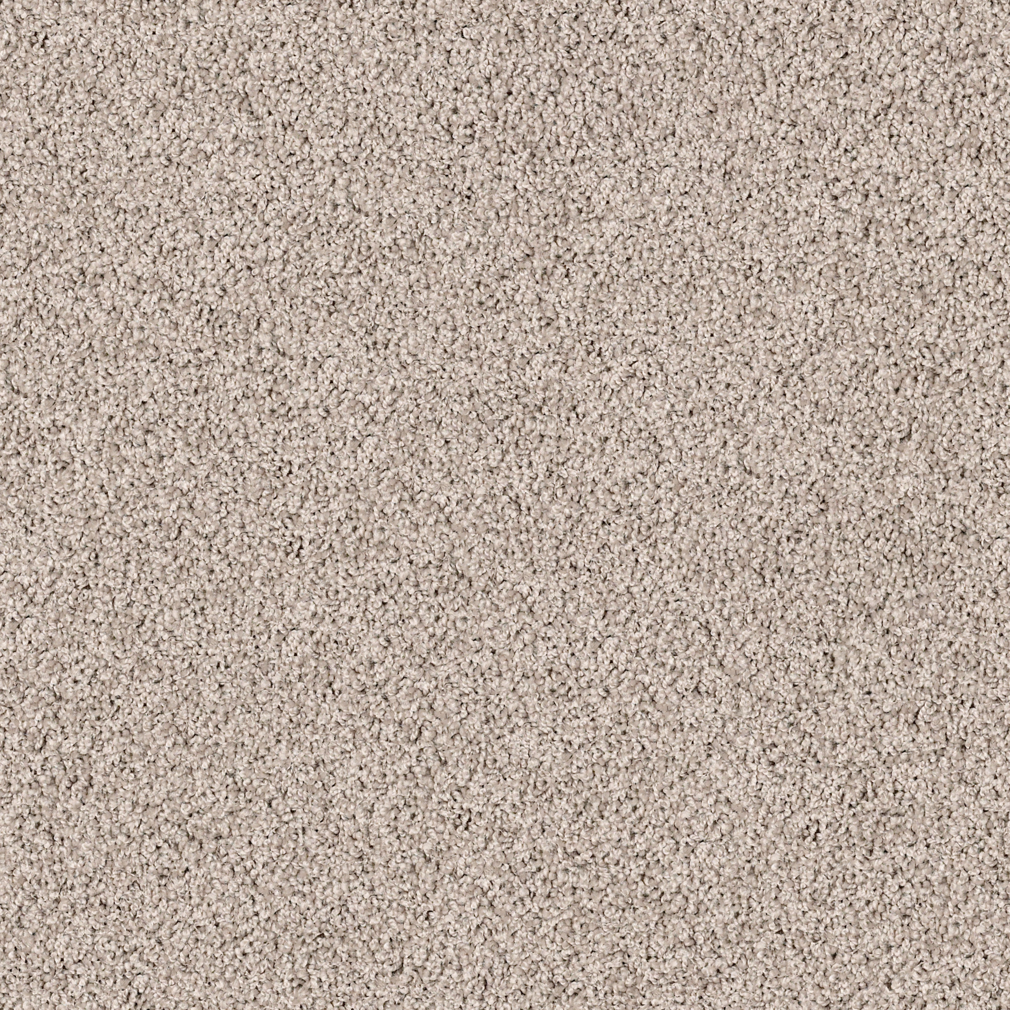 High Authority-Tasteful Taupe-HGP34_00721