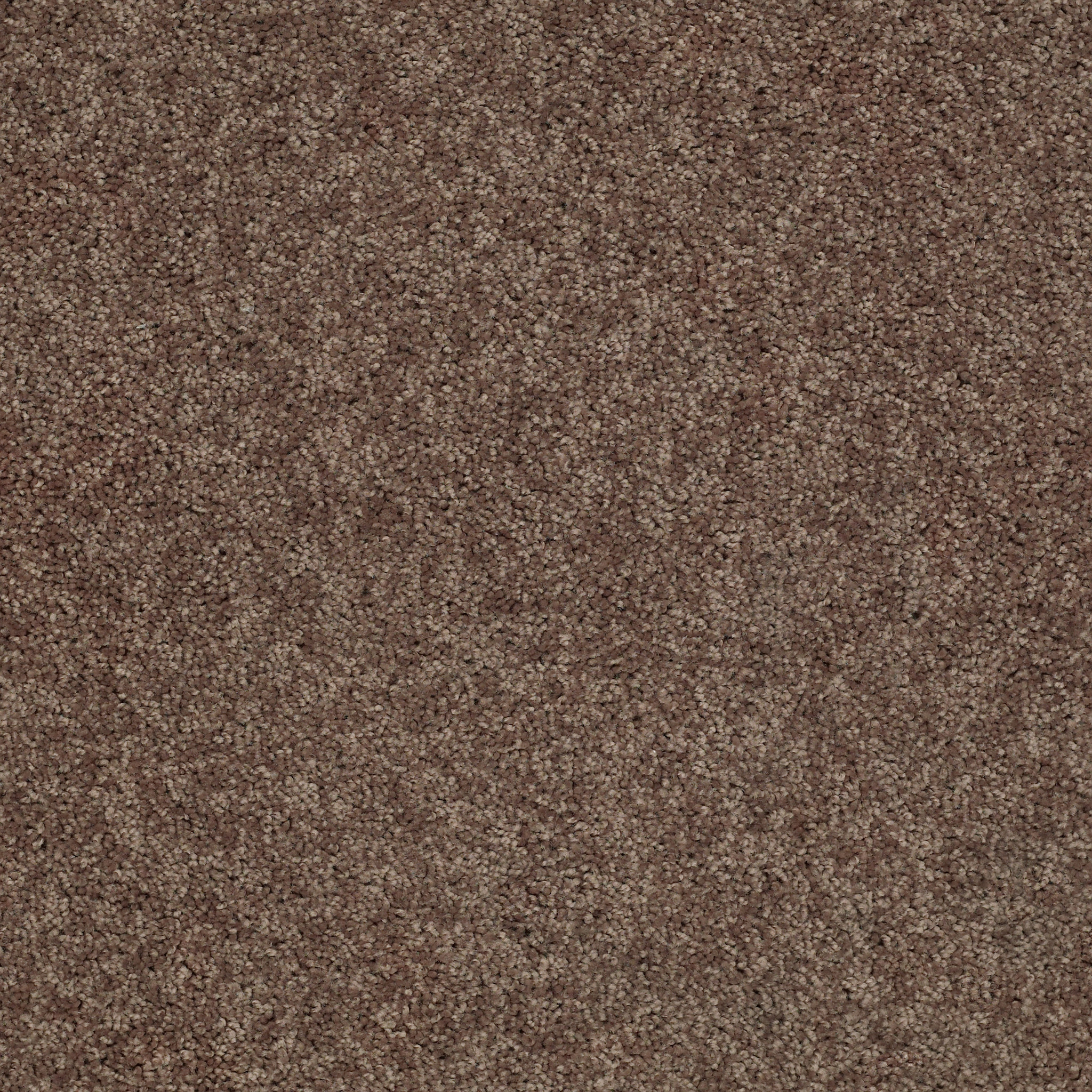 Fast Ball II-Cattail-HGP39_00702