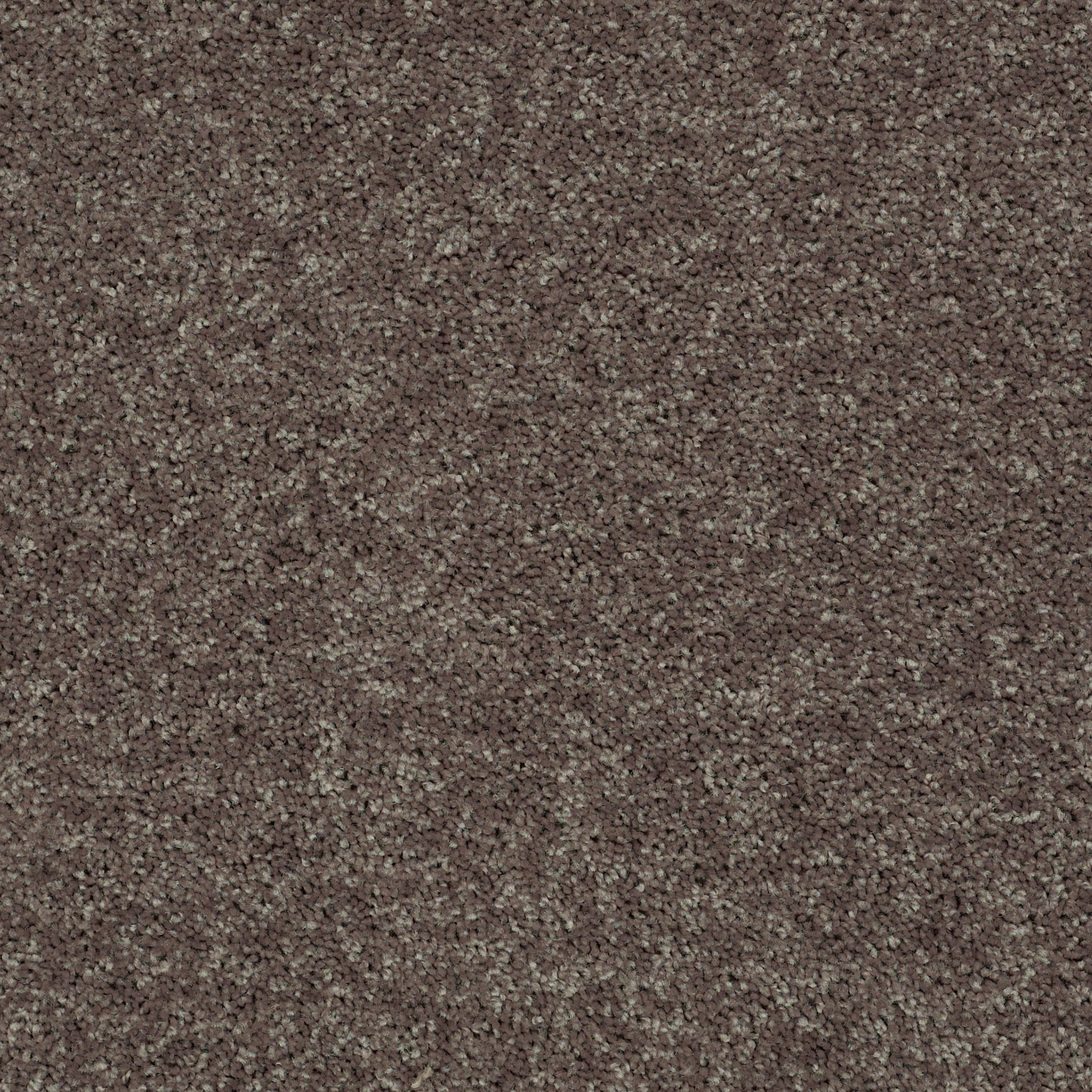 Fast Ball II-Driftwood-HGP39_00703