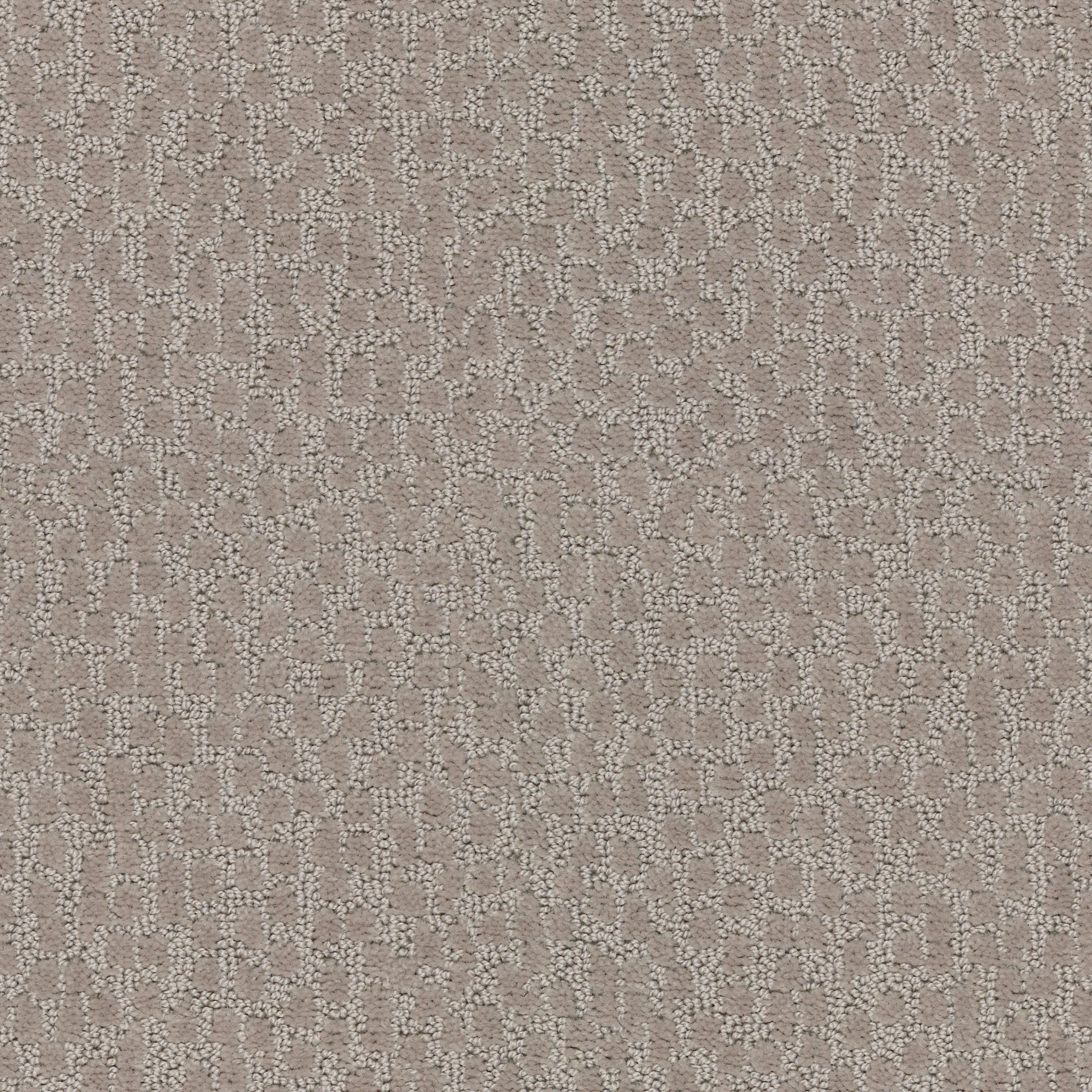 summer_surf walnut carpets hgp5000752 Shaw Builder Flooring