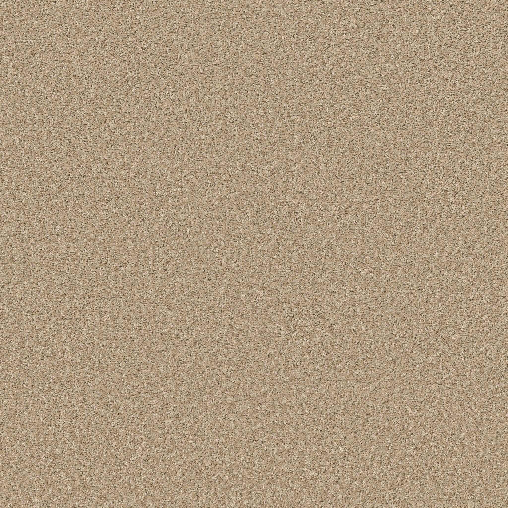 Grand Cayman-Desert Sand-HGP59_00210