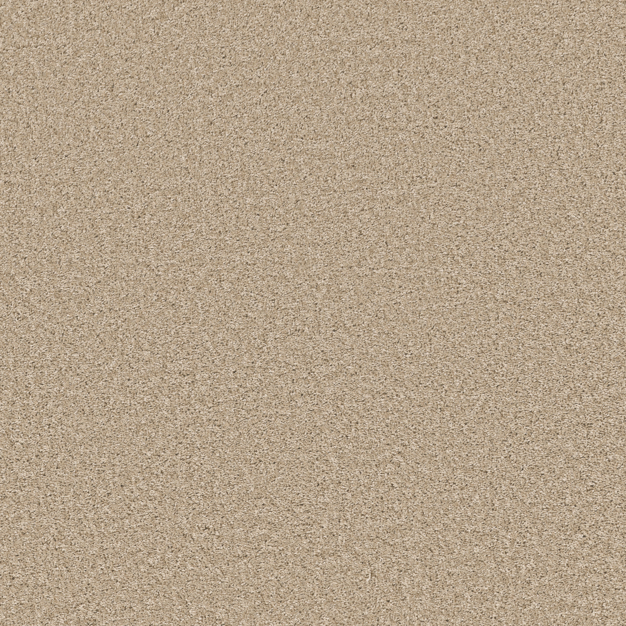 Grand Cayman-Sweet As Honey-HGP59_00211