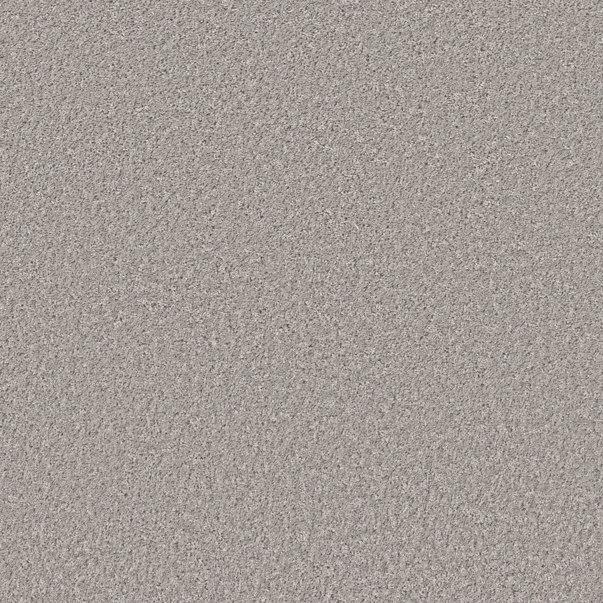 Grand Cayman-Sentimental-HGP59_00512