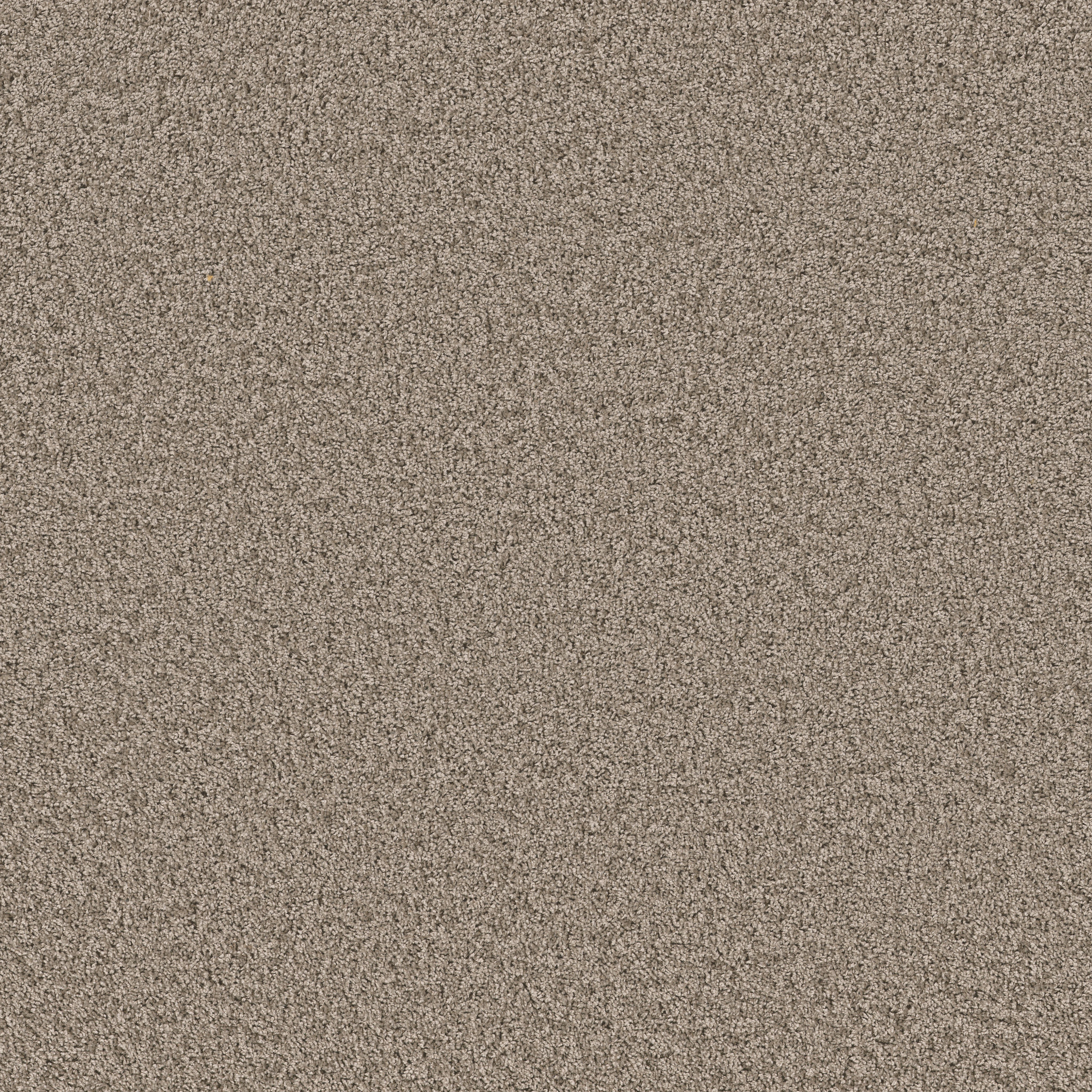 Grand Cayman-Forever Pewter-HGP59_00710