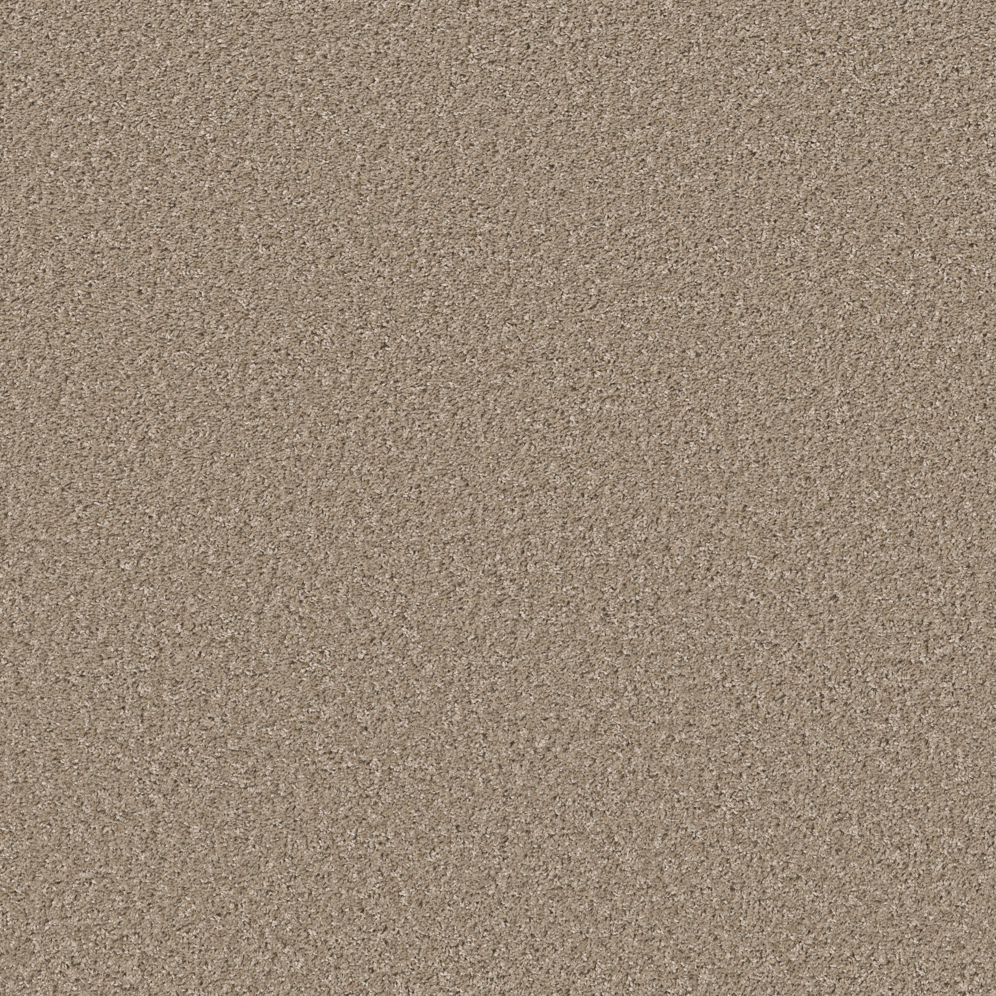 Grand Cayman-Morning Latte-HGP59_00732