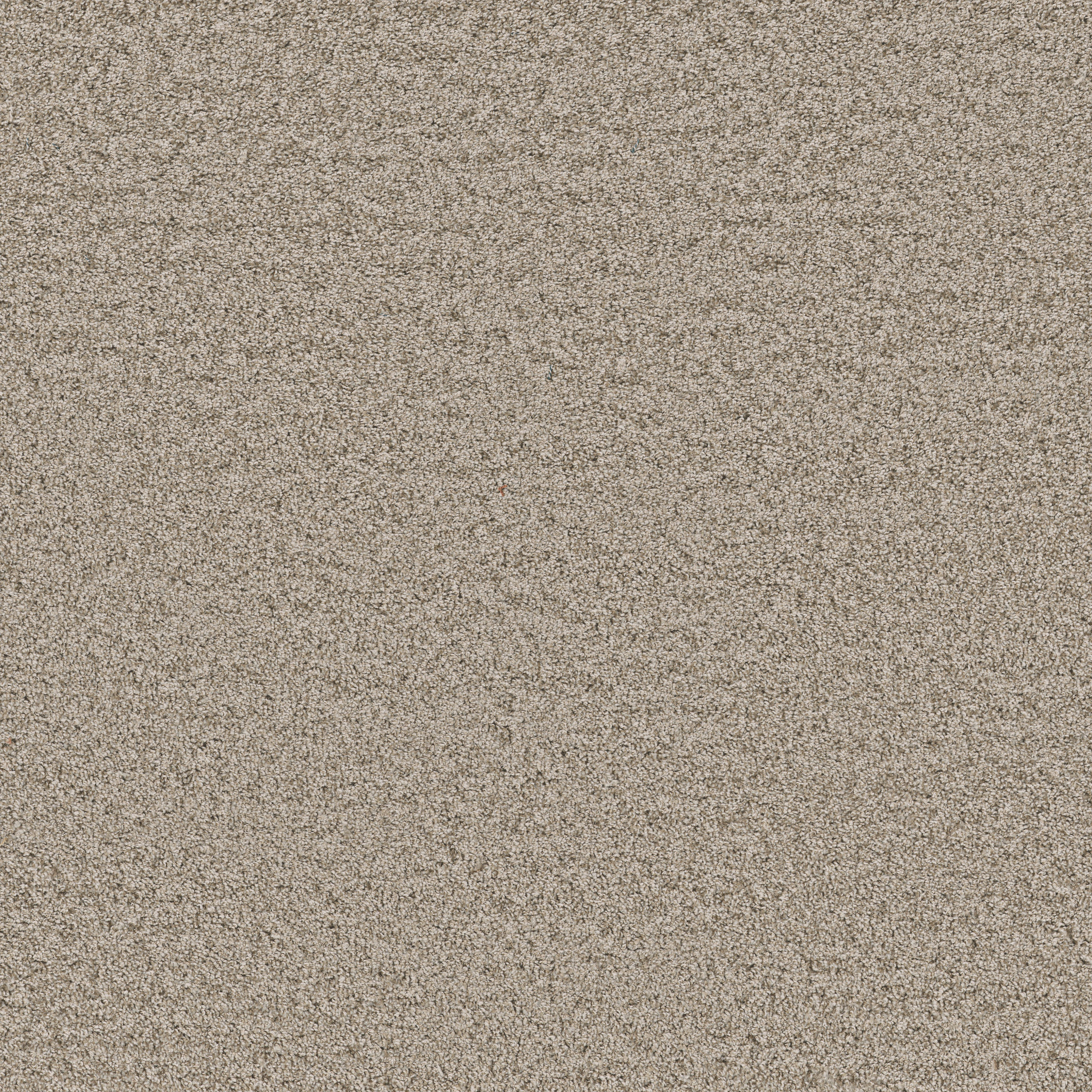 grand_turk stucco carpets hgp6000112 Shaw Builder Flooring