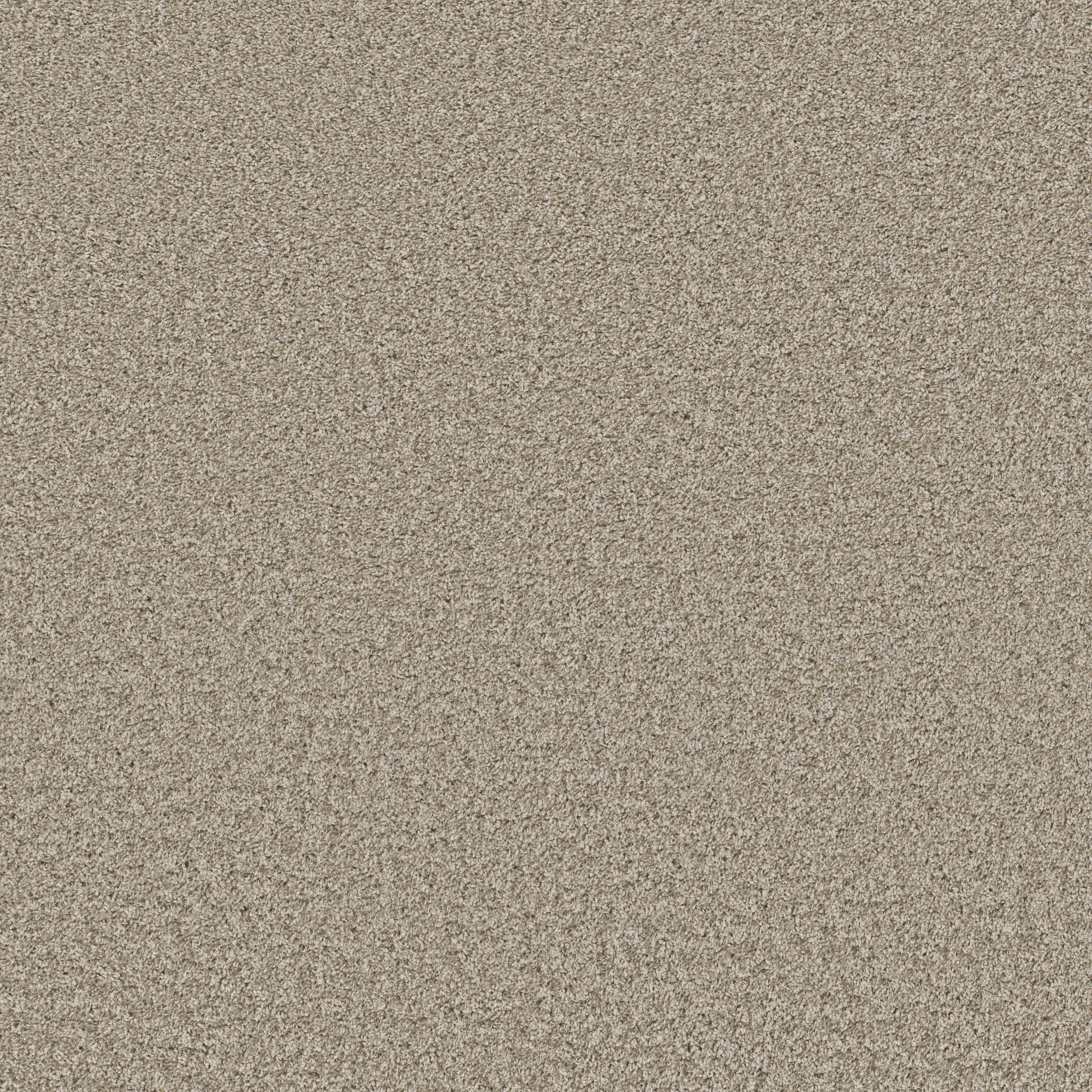 grand_turk magnolia_bloom carpets hgp6000120 Shaw Builder Flooring