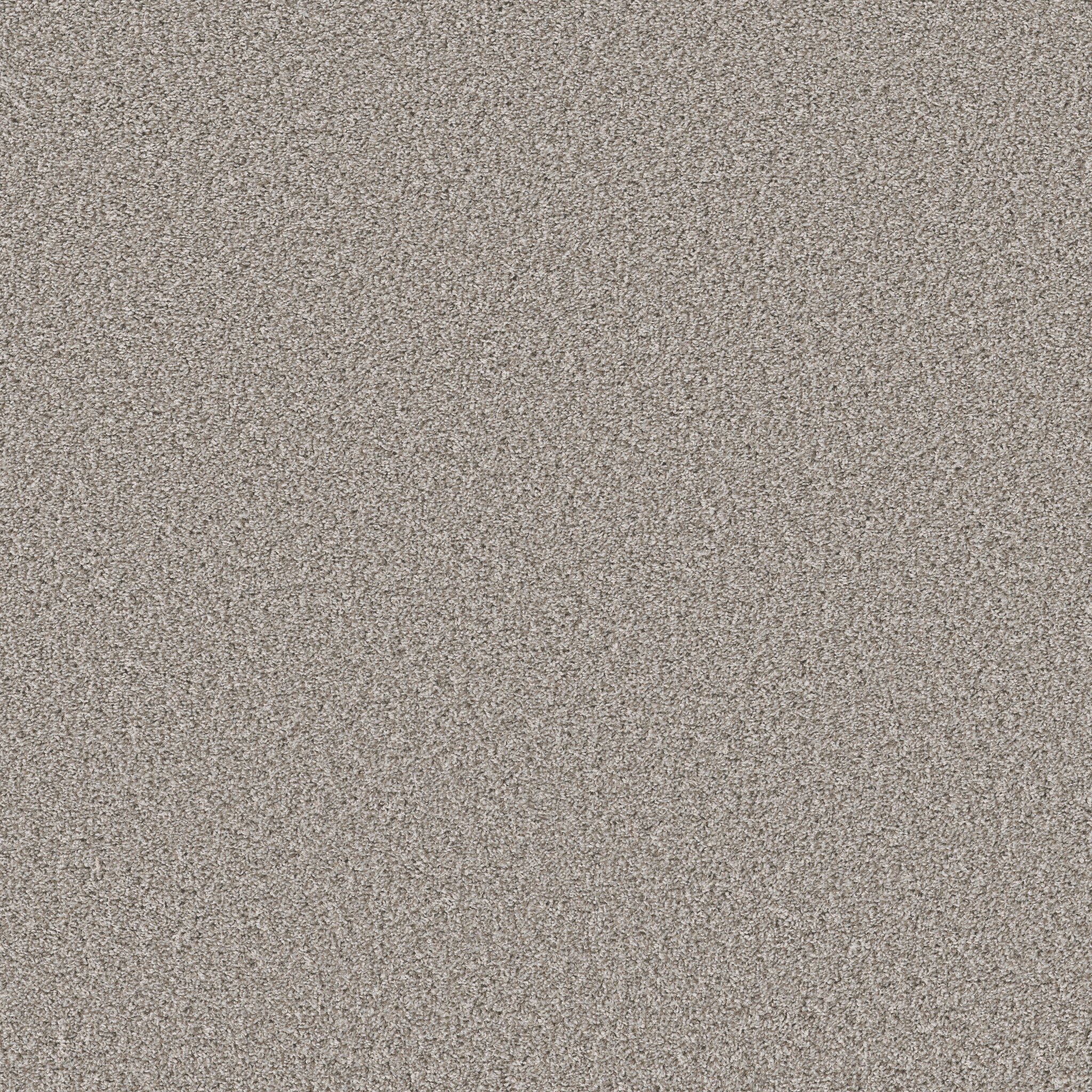 grand_turk ornamental_gate carpets hgp6000122 Shaw Builder