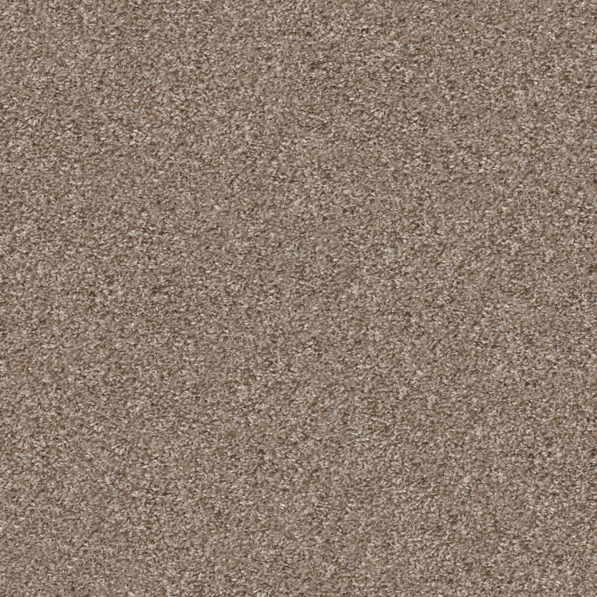 grand turk carpets HGP6000230 Shaw Builder Flooring