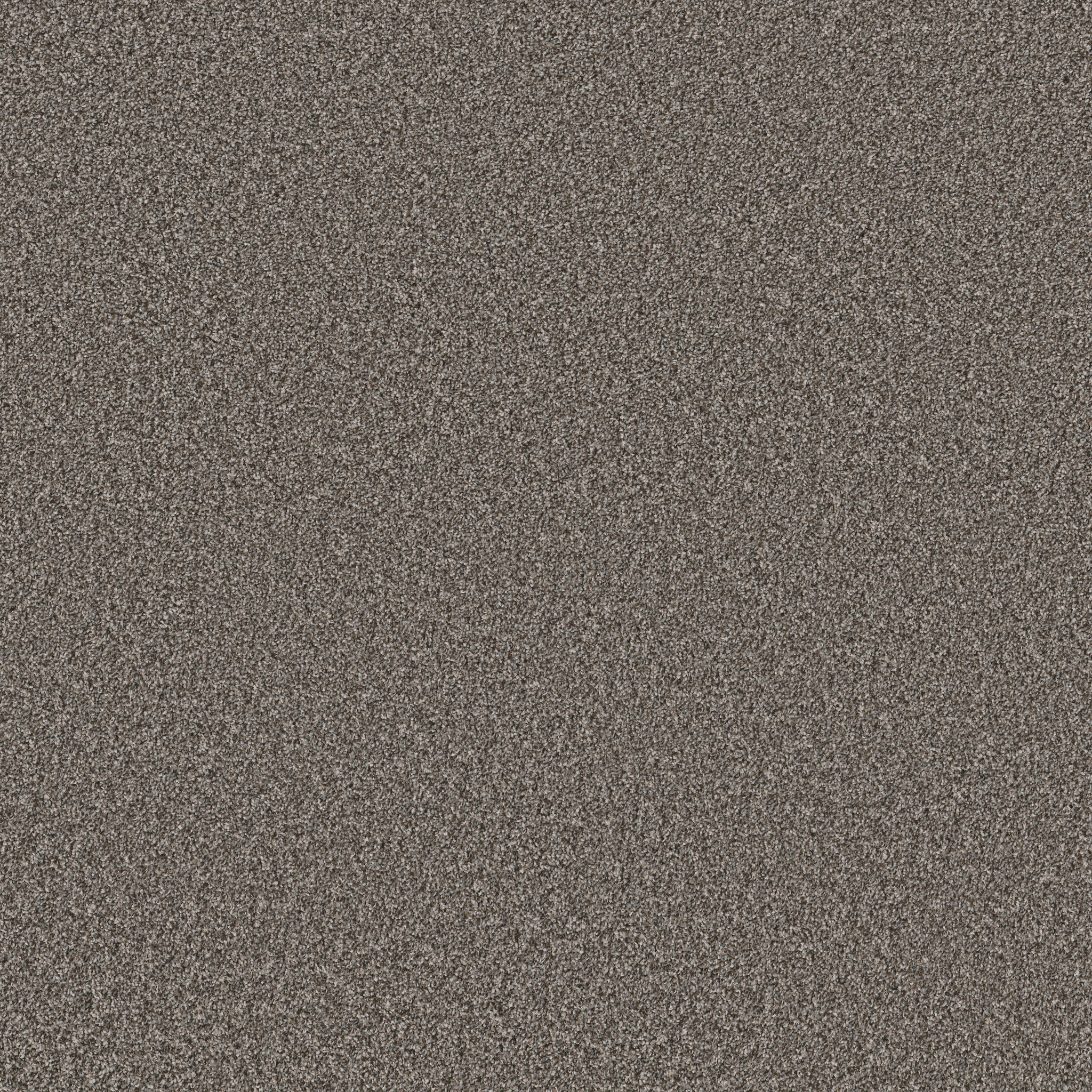 grand turk hammerhead carpets HGP6000521 Shaw Builder Flooring