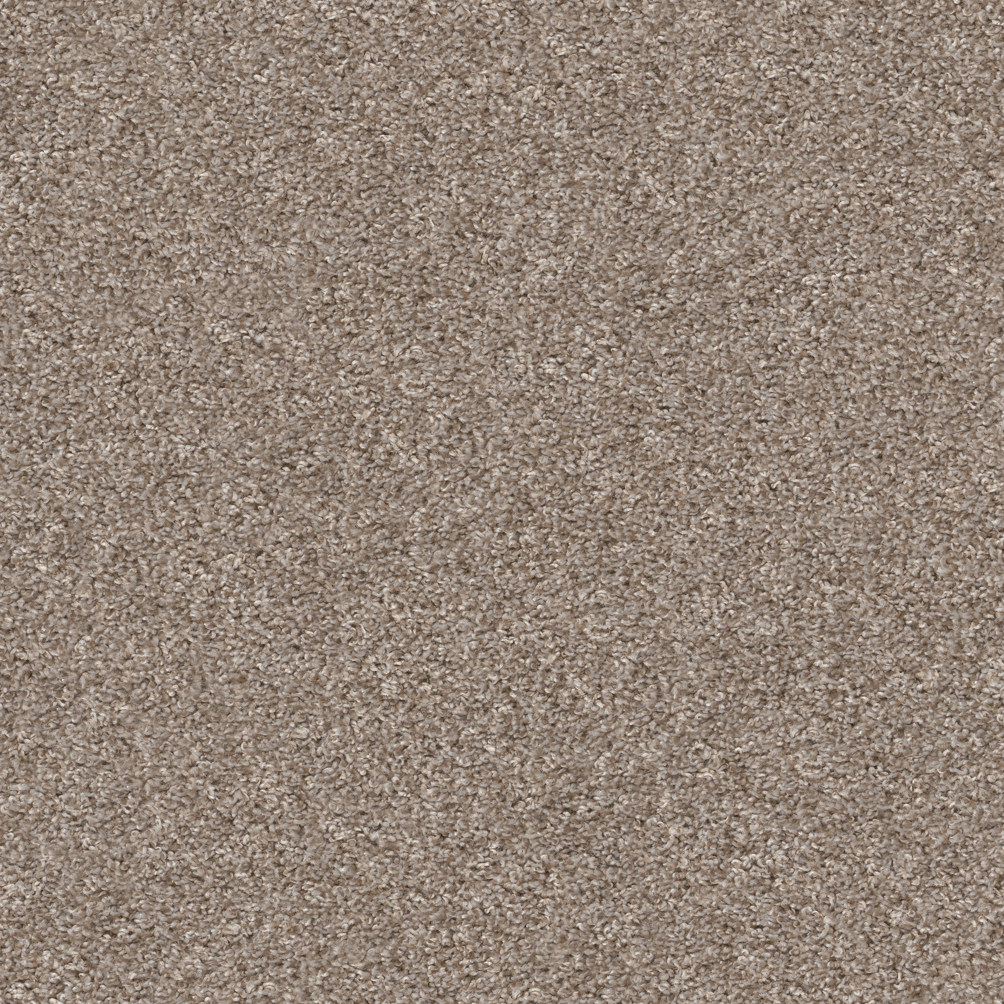 grand turk biscotti carpets HGP6000700 Shaw Builder Flooring