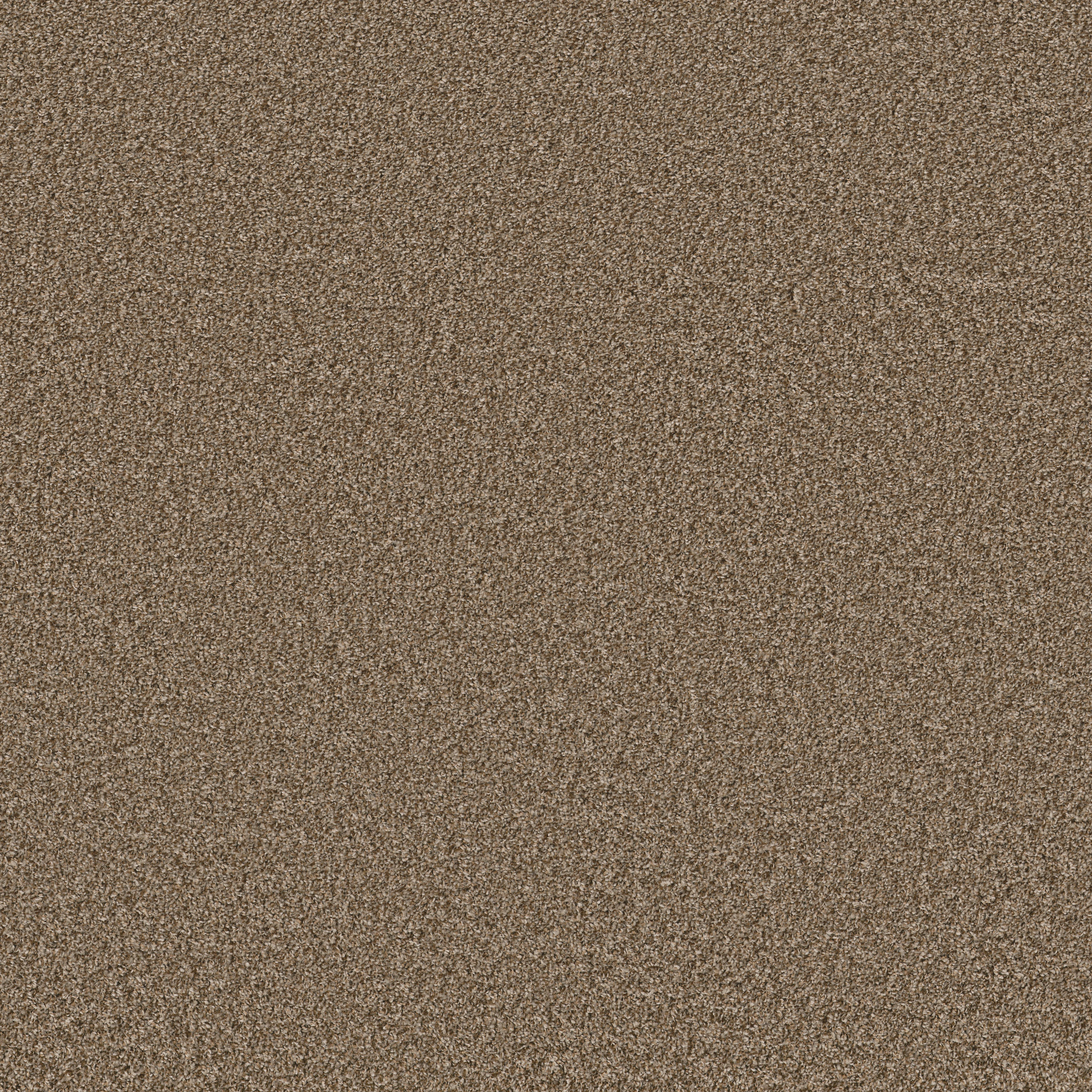 grand turk rodeo carpets HGP6000710 Shaw Builder Flooring
