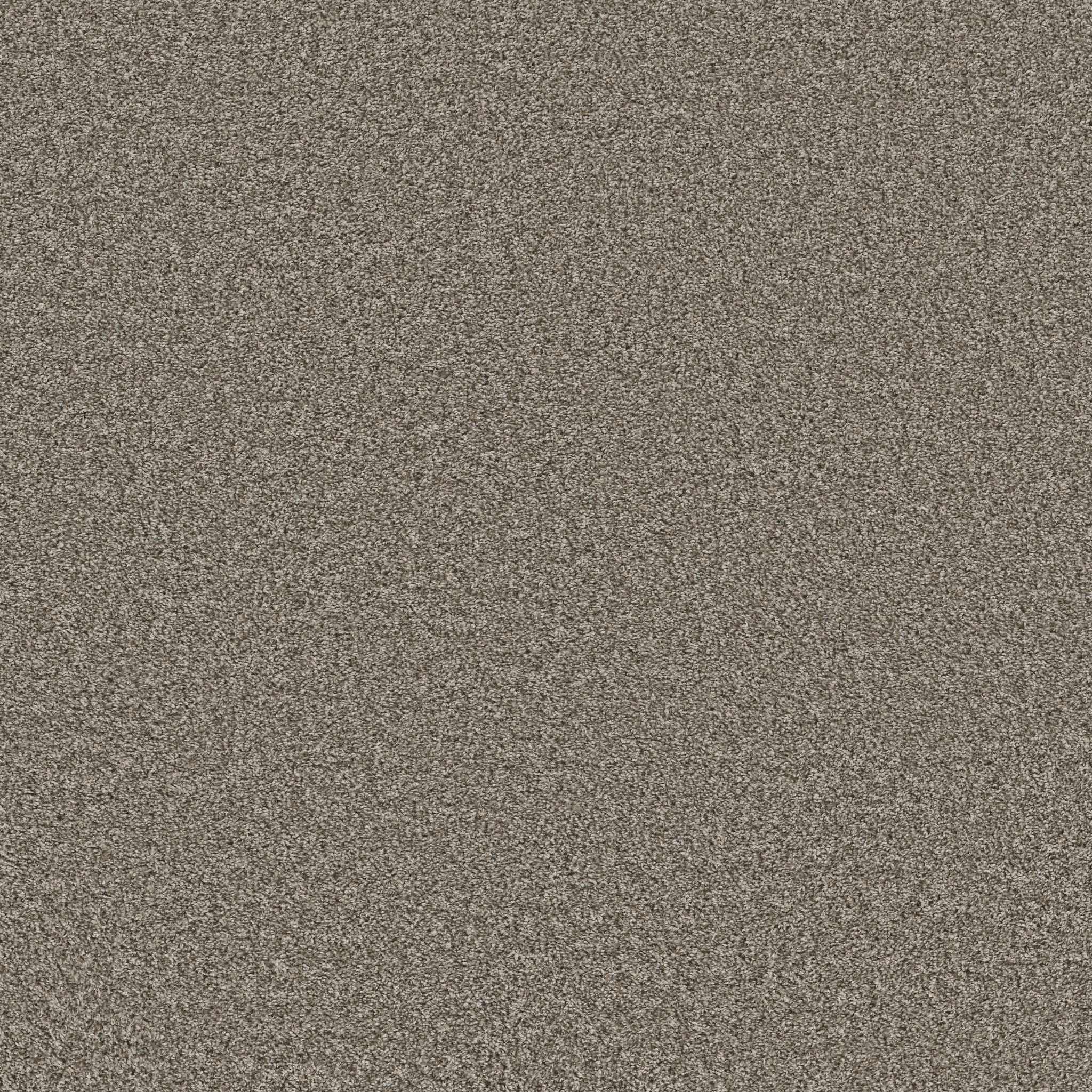 grand turk barely there carpets hgp6000720 Shaw Builder Flooring