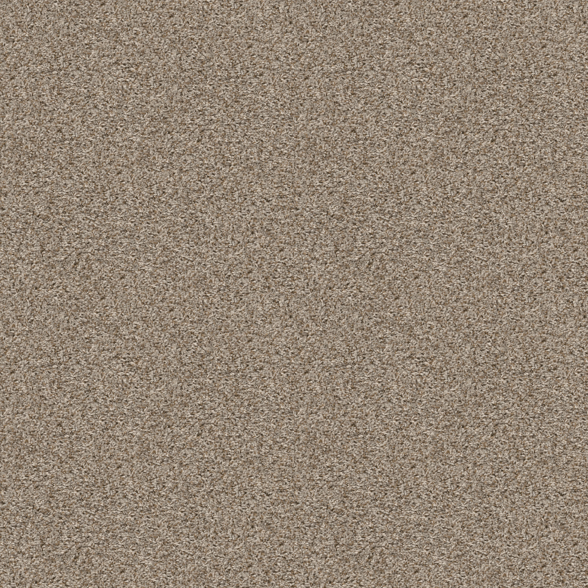 Hidden Oasis-Sand Swept-HGP61_00112