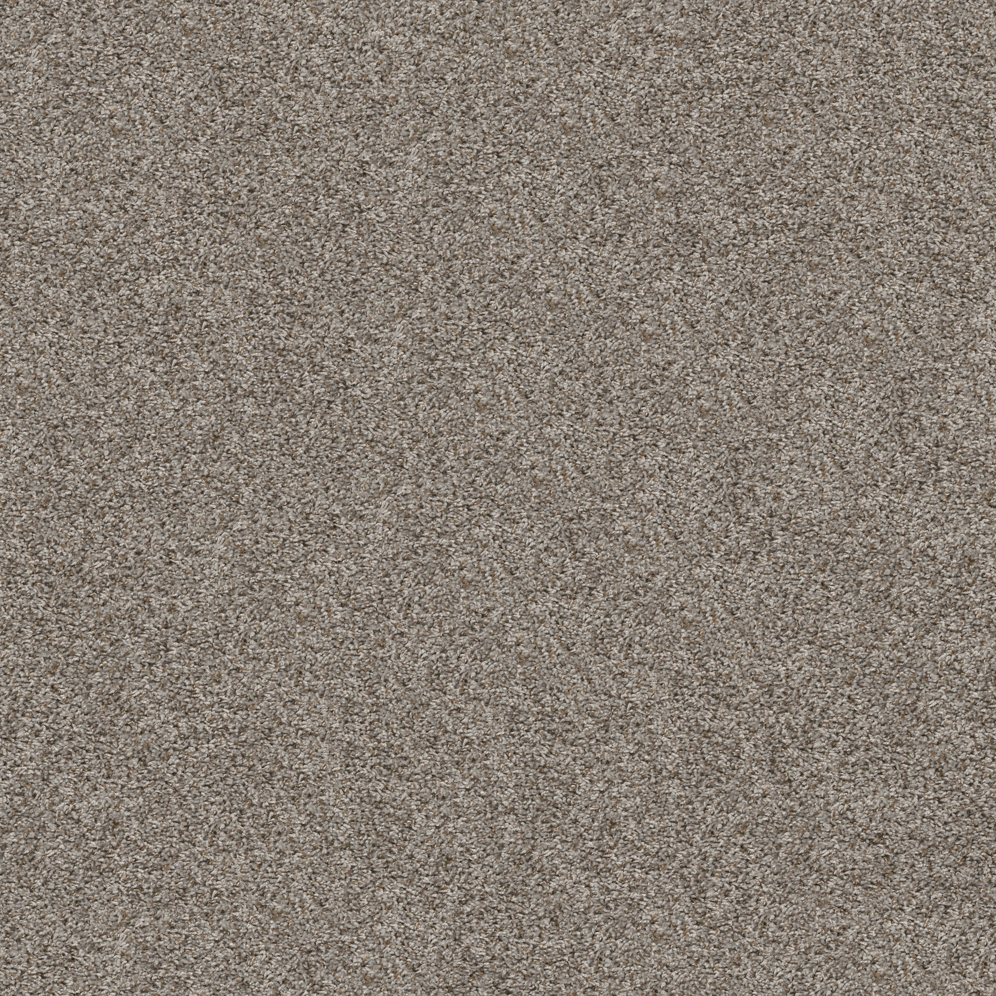 Hidden Oasis-Dolphin Show-HGP61_00510