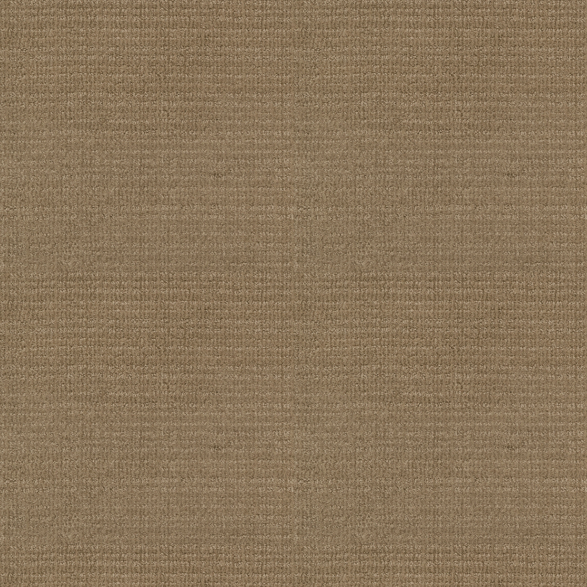 Ellis Bay - Gold Rush - HGP73_00270