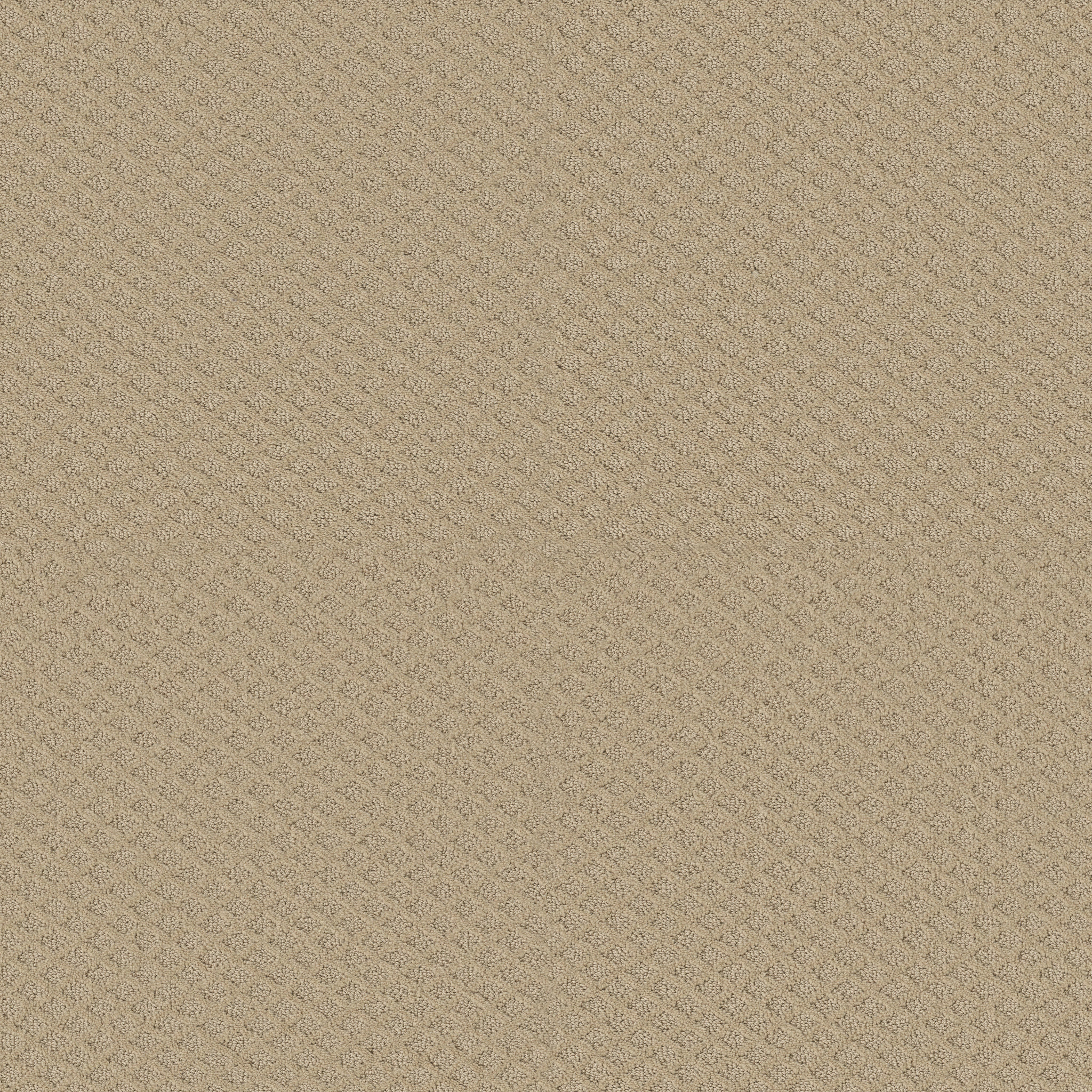 Finley Creek-Soft Honey-HGP76_00182