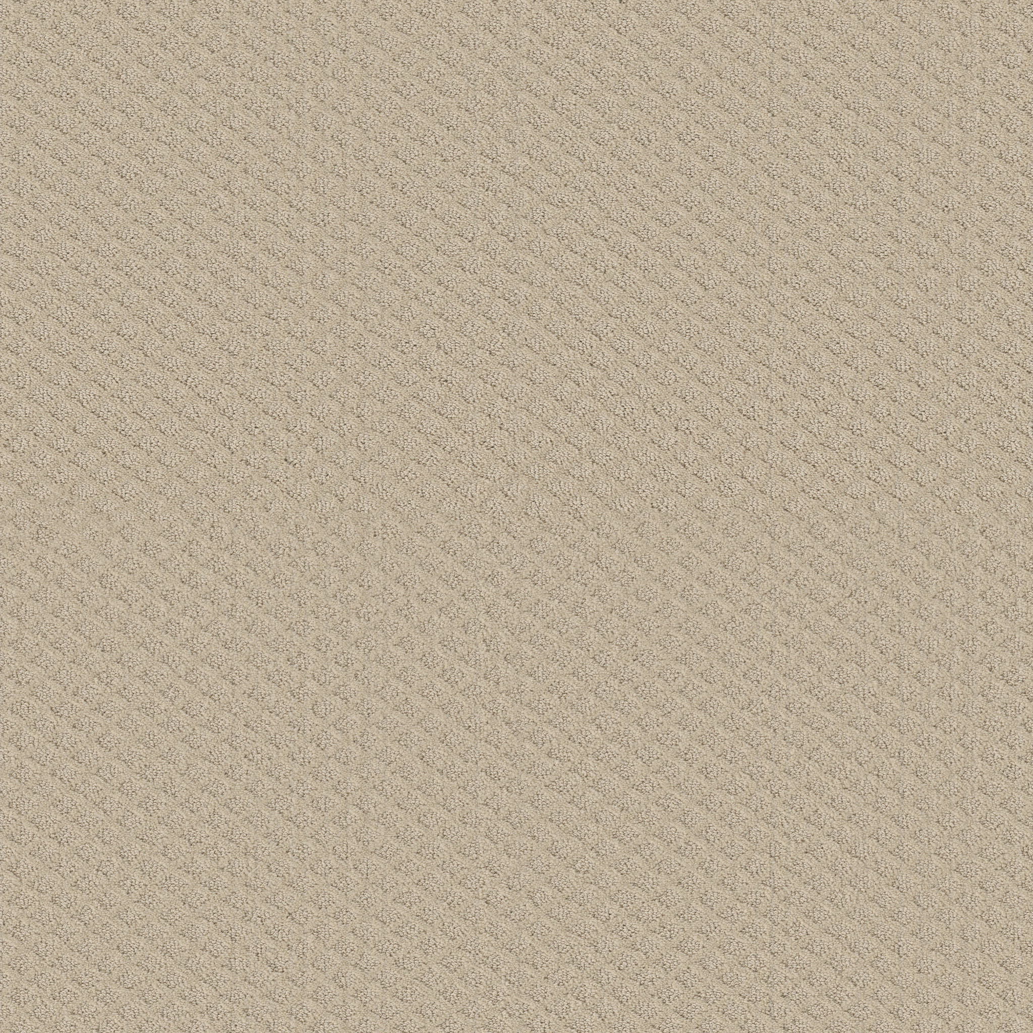 Finley Creek-Sentimental-HGP76_00183