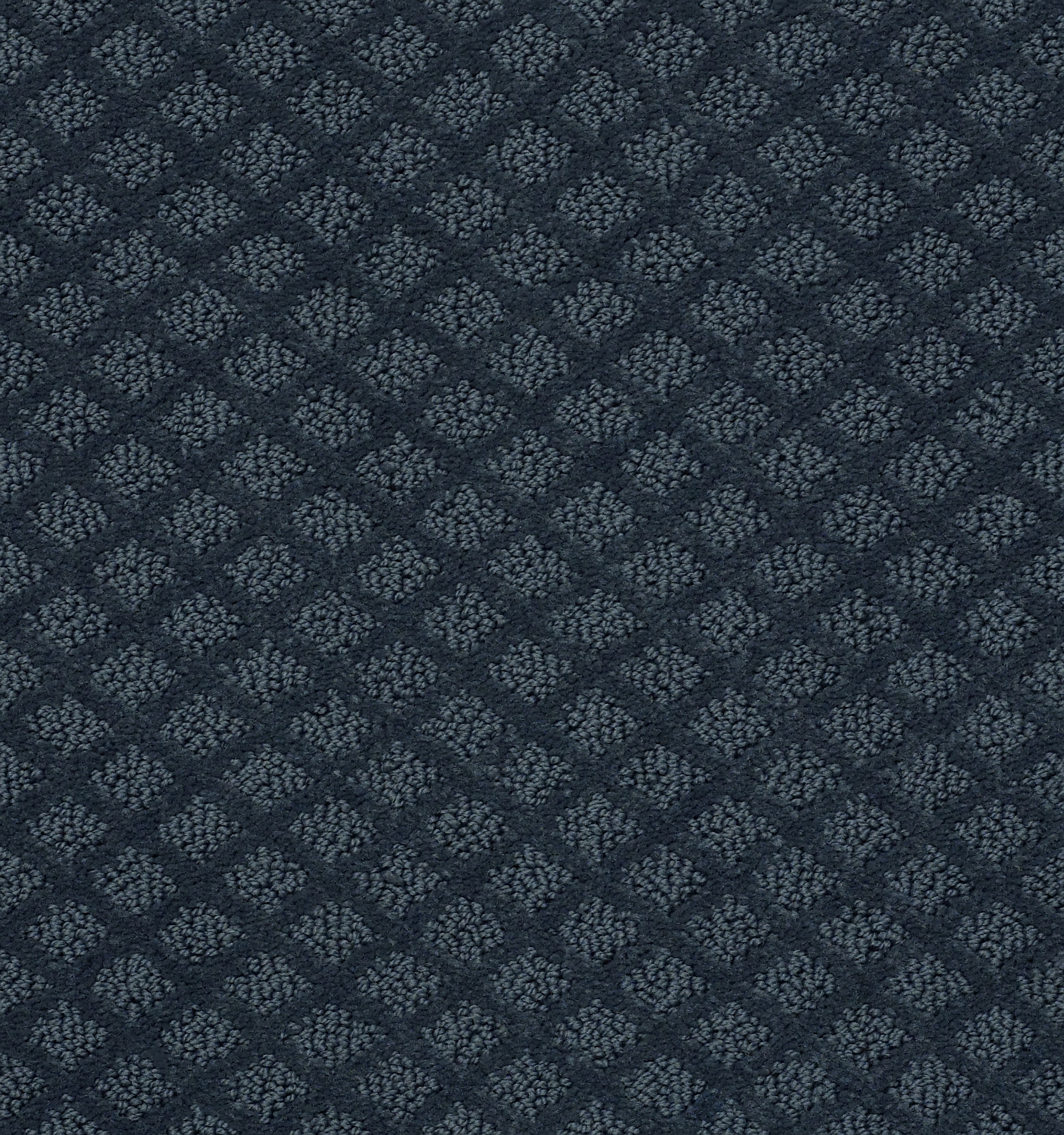 Finley Creek - Modern Spaces - HGP76_00473