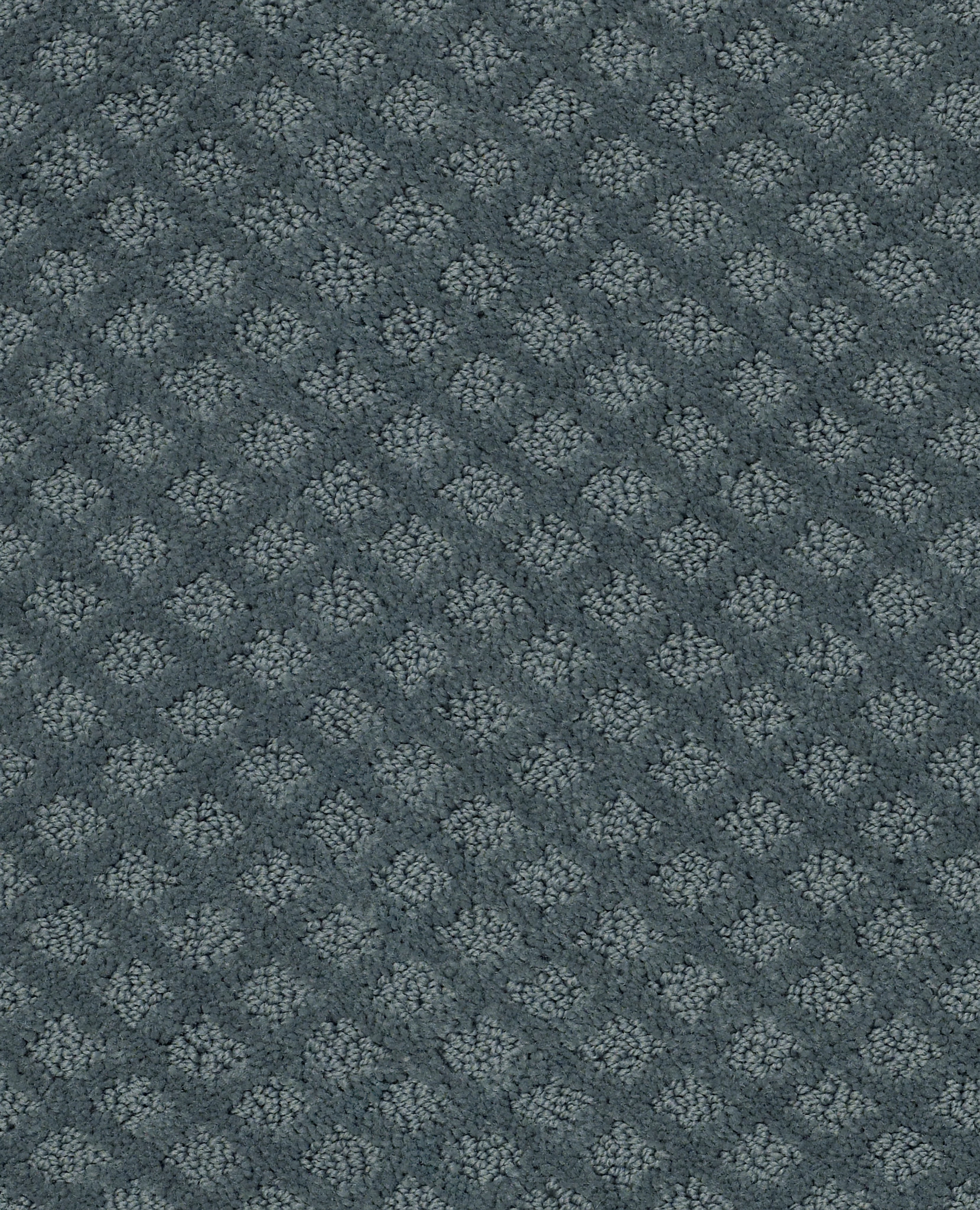 Finley Creek-Voyage-HGP76_00480