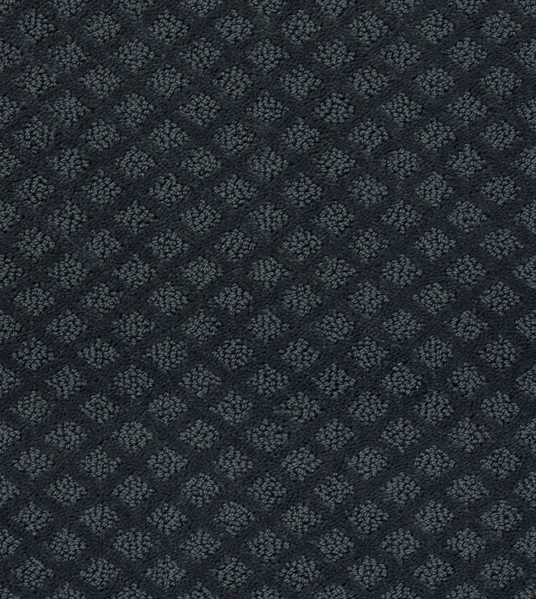 Finley Creek - Moon Bay - HGP76_00481