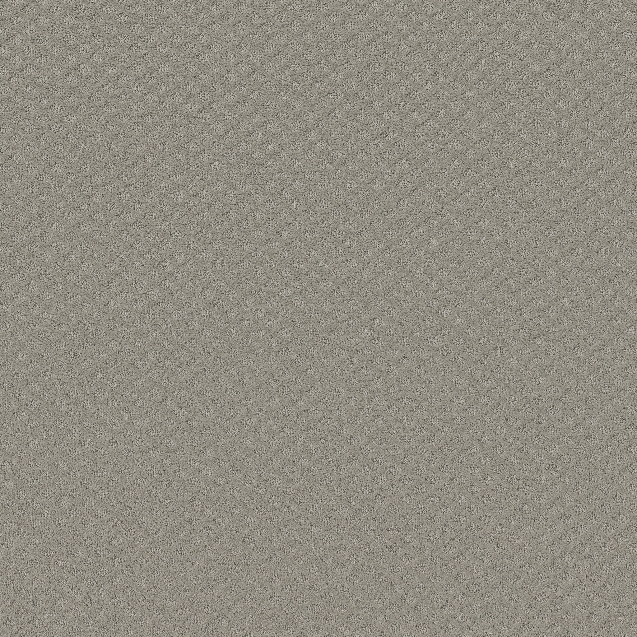 Finley Creek-Silhouette-HGP76_00570