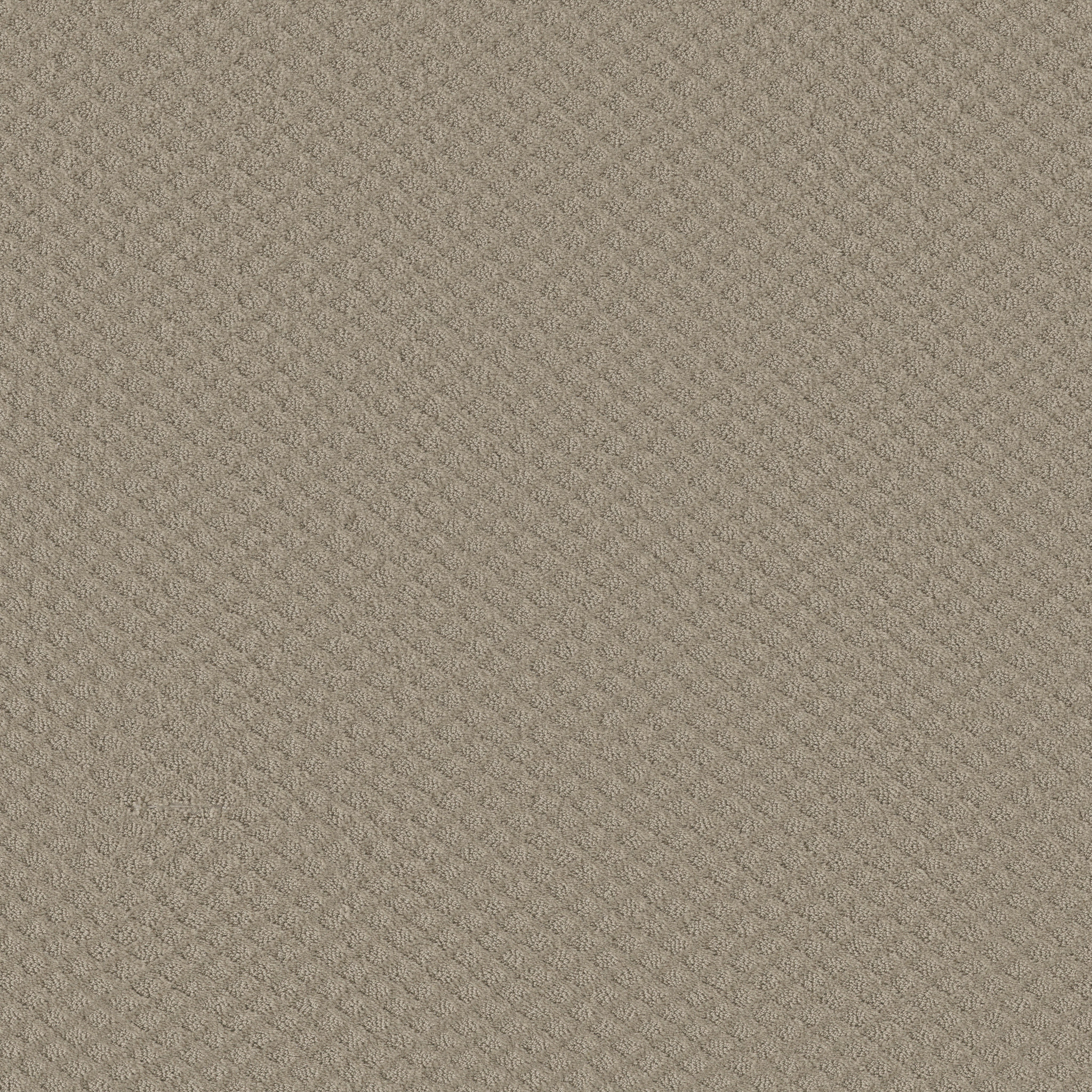 Finley Creek-Park Avenue-HGP76_00770