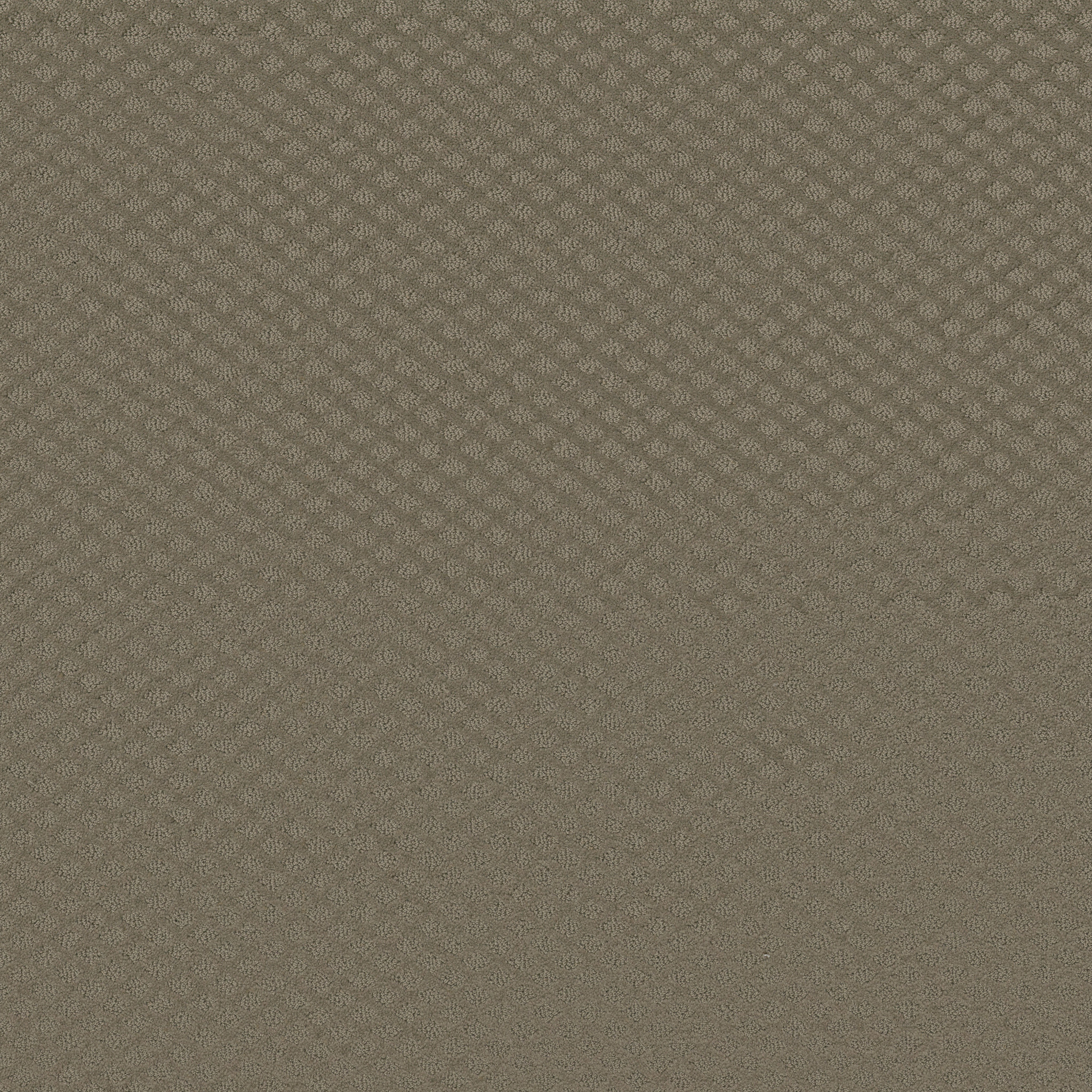 Finley Creek-Abbey Stone-HGP76_00771