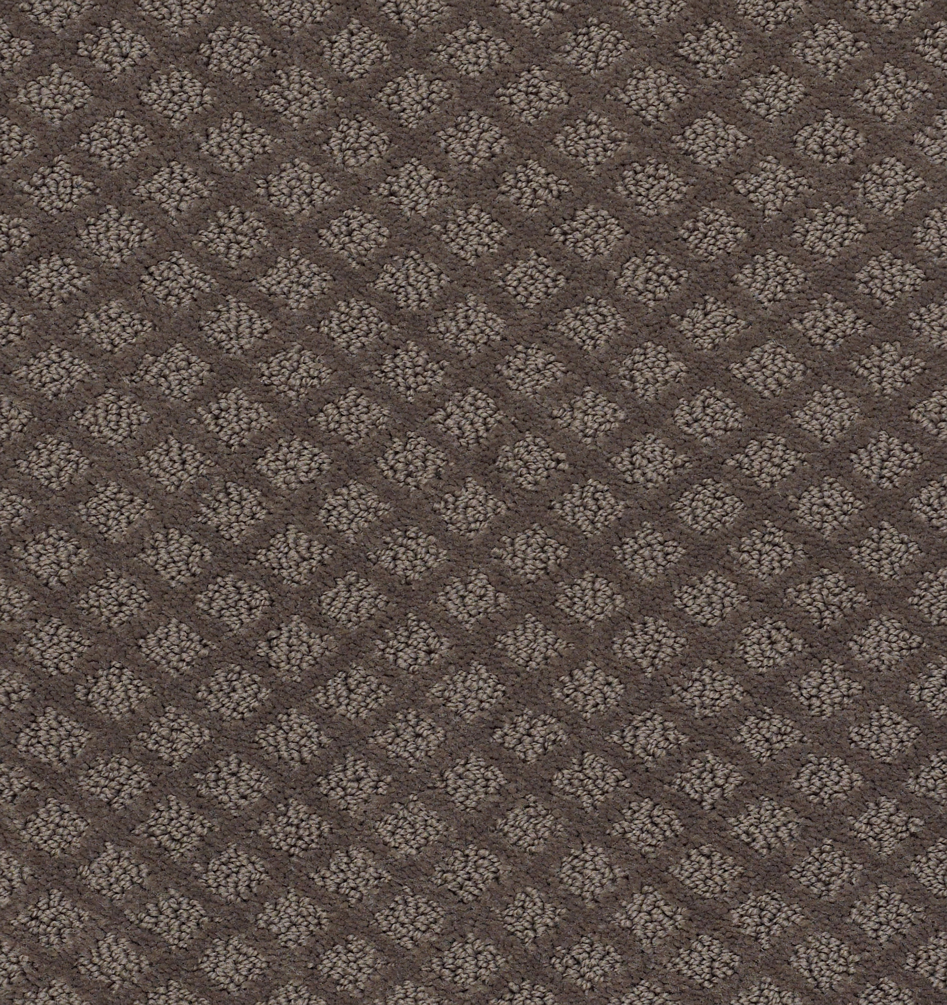 Finley Creek - Front Gate - HGP76_00773