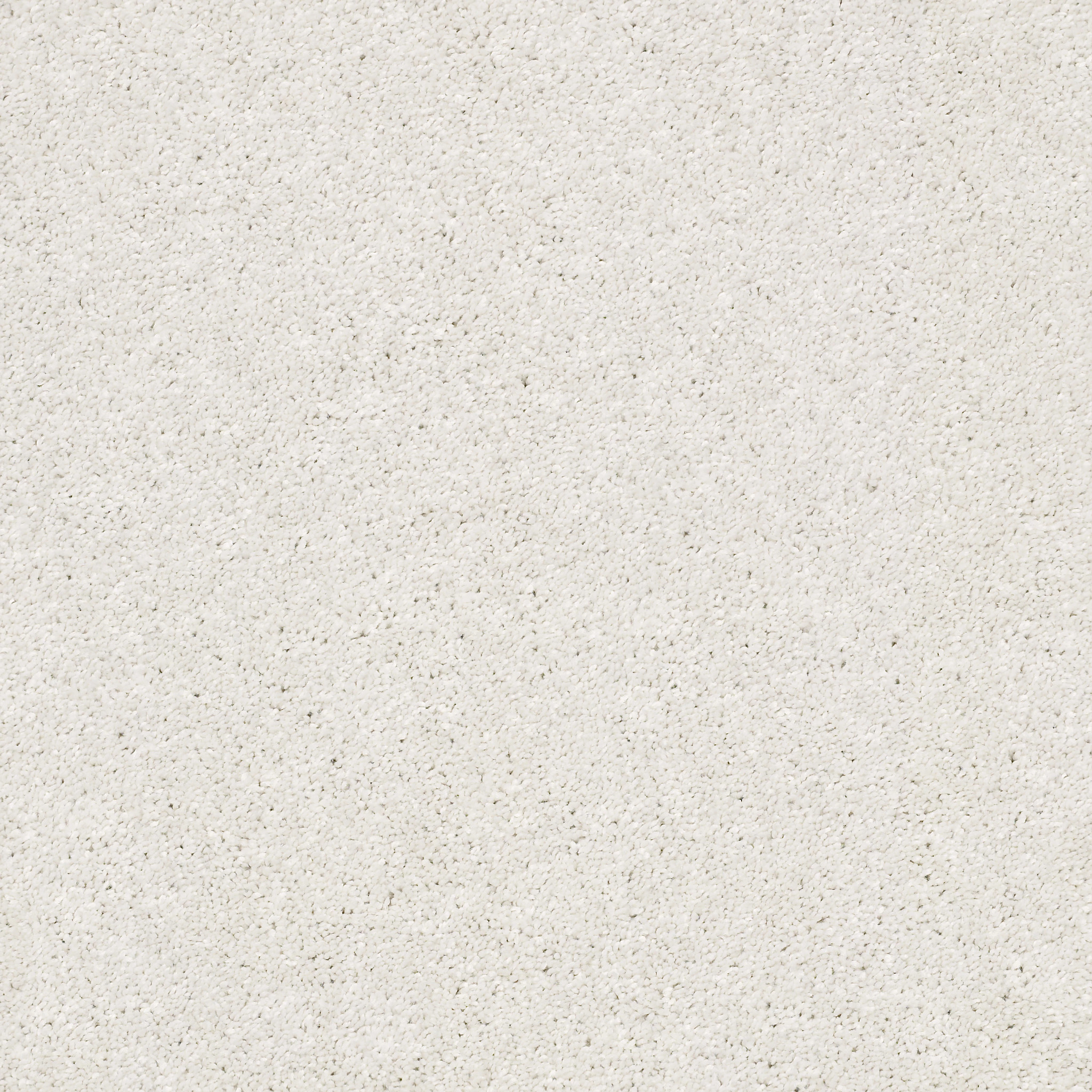 Fletcher Hall - Eggshell - HGP82_00120