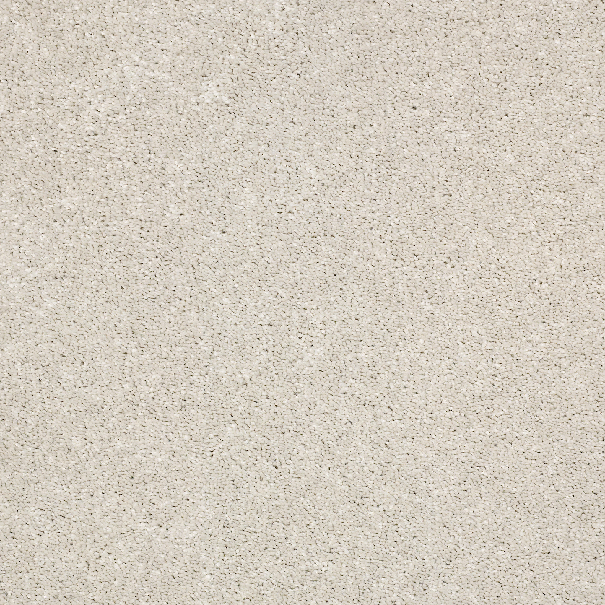 Fletcher Hall - Crushed Shell - HGP82_00123