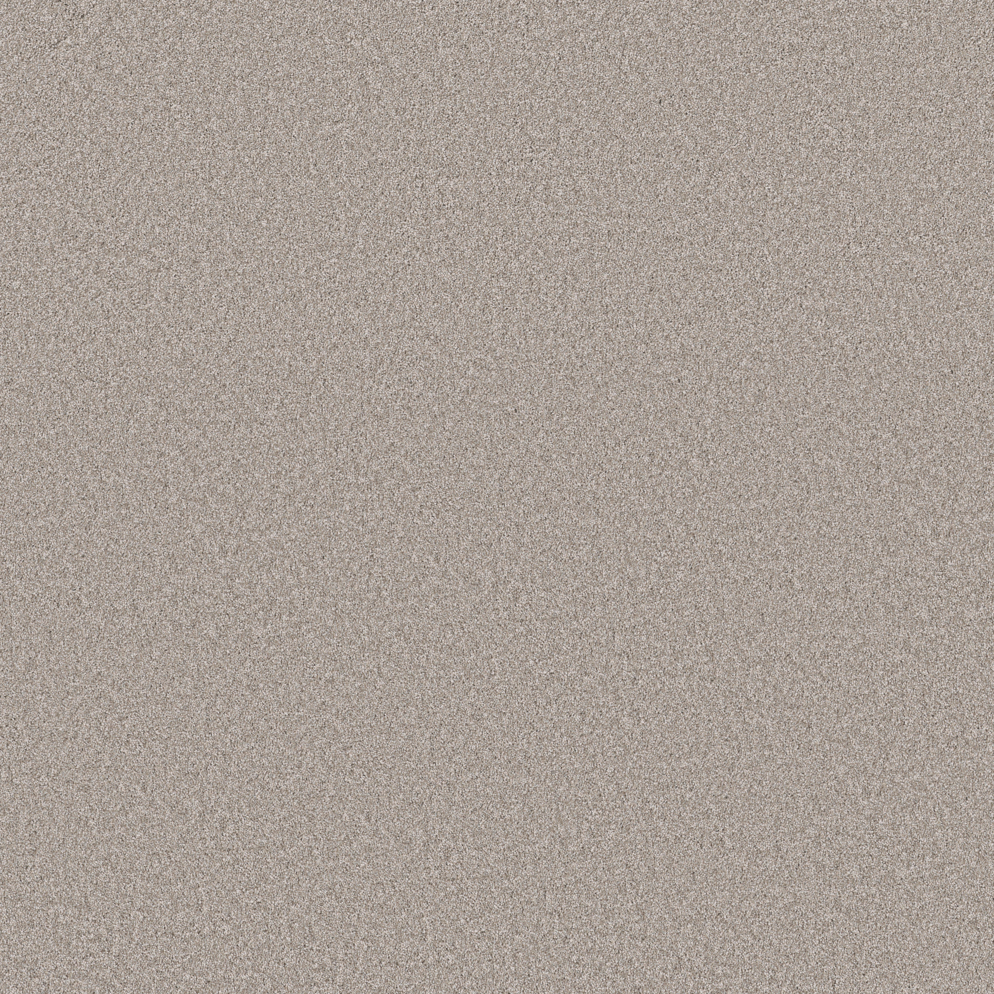 Fletcher Hall-Great Greige-HGP82_00150