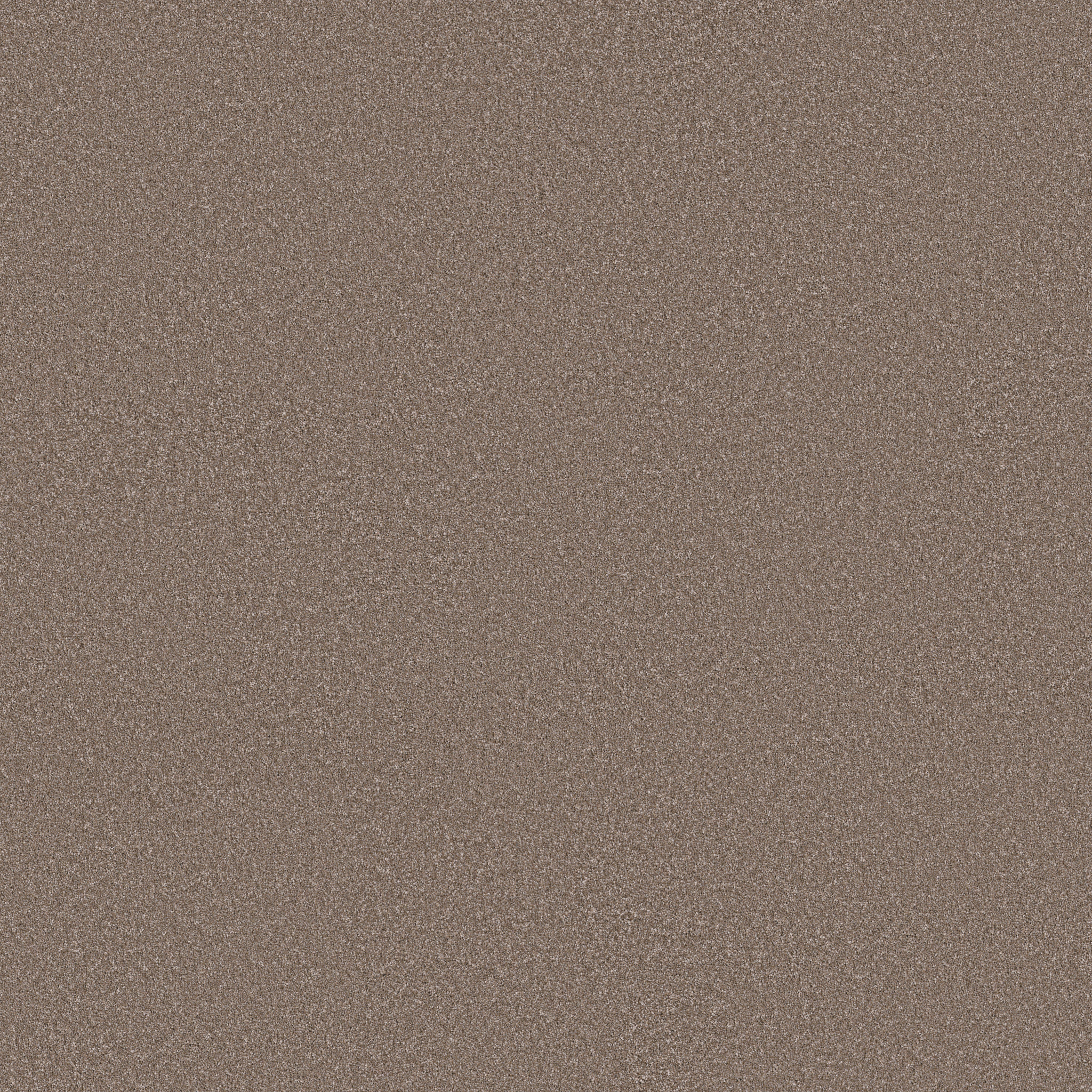 Fletcher Hall-Tumbleweed-HGP82_00151