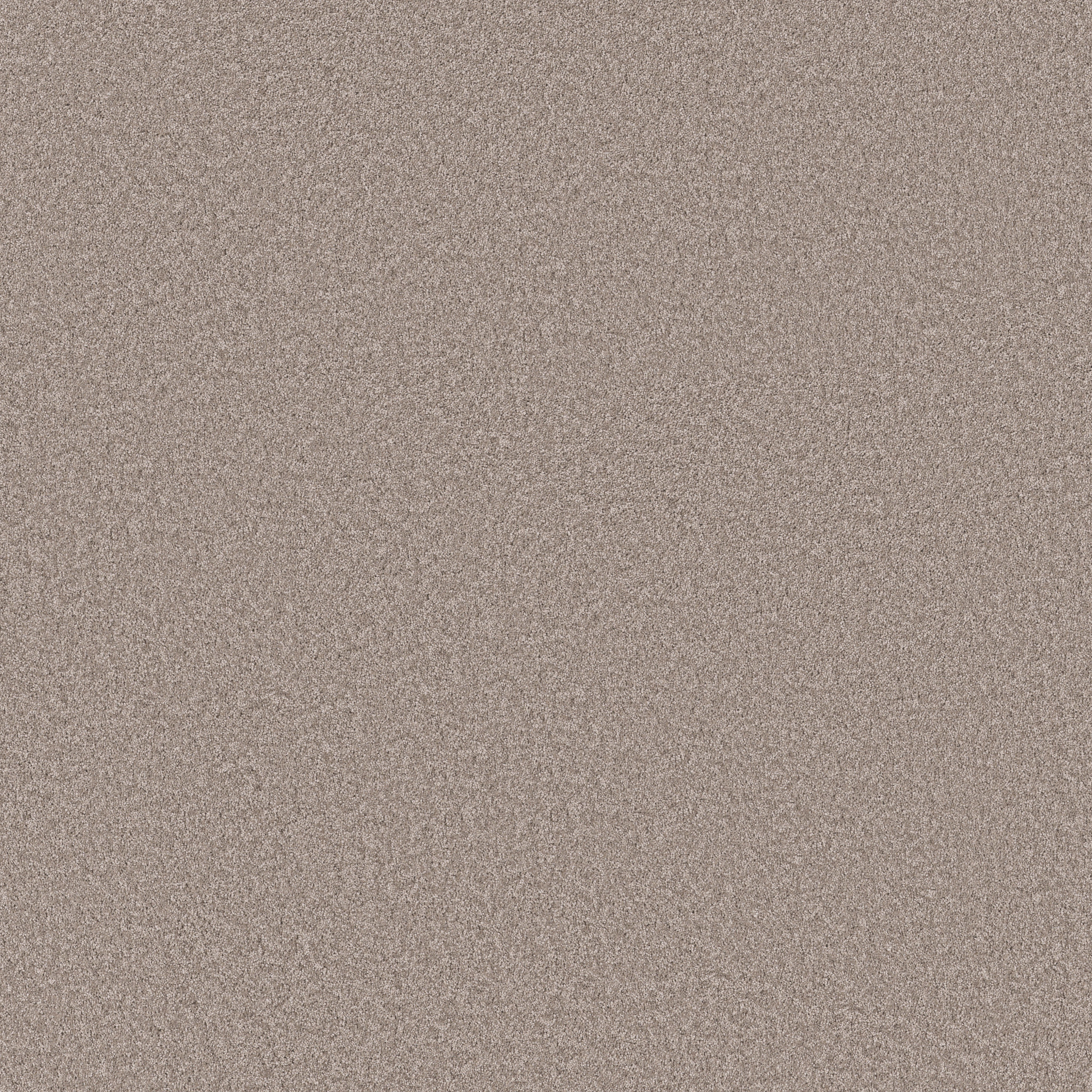 Fletcher Hall-Taupe Stone-HGP82_00152