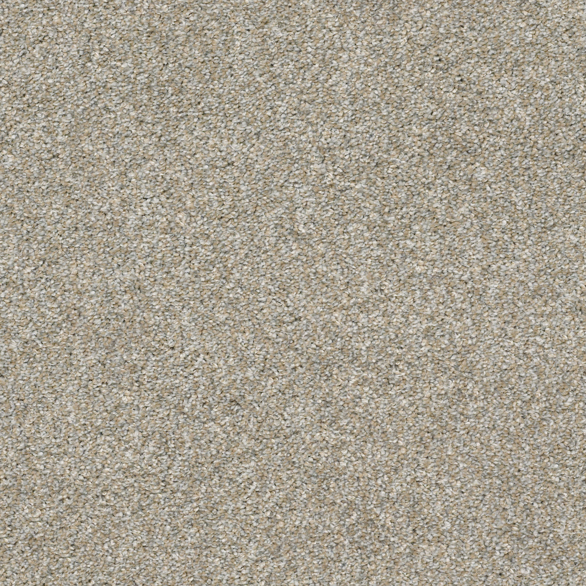 Fletcher Hall - Misty Harbor - HGP82_00510