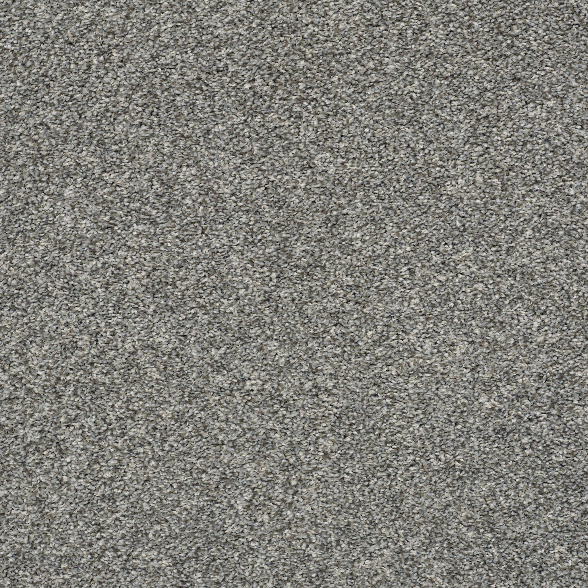 Fletcher Hall - Sparrow - HGP82_00524