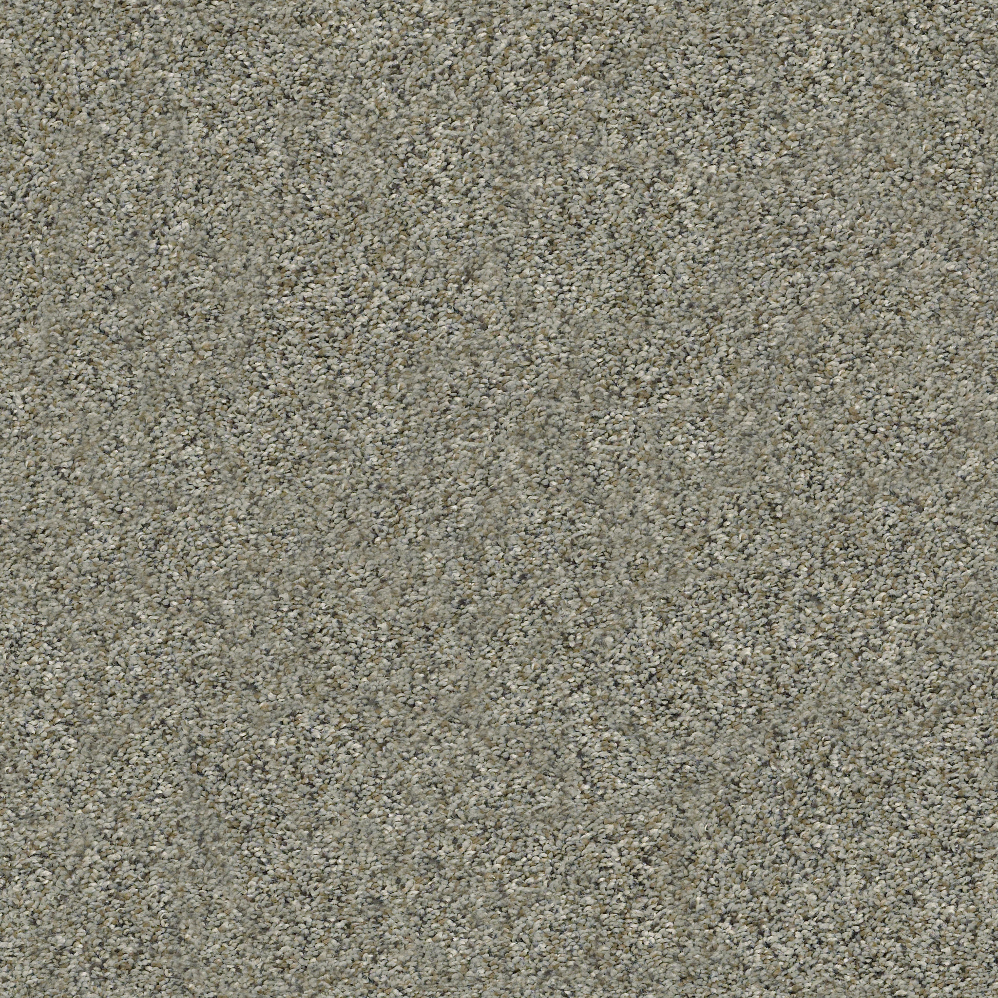 Fletcher Hall - Beach Walk - HGP82_00702