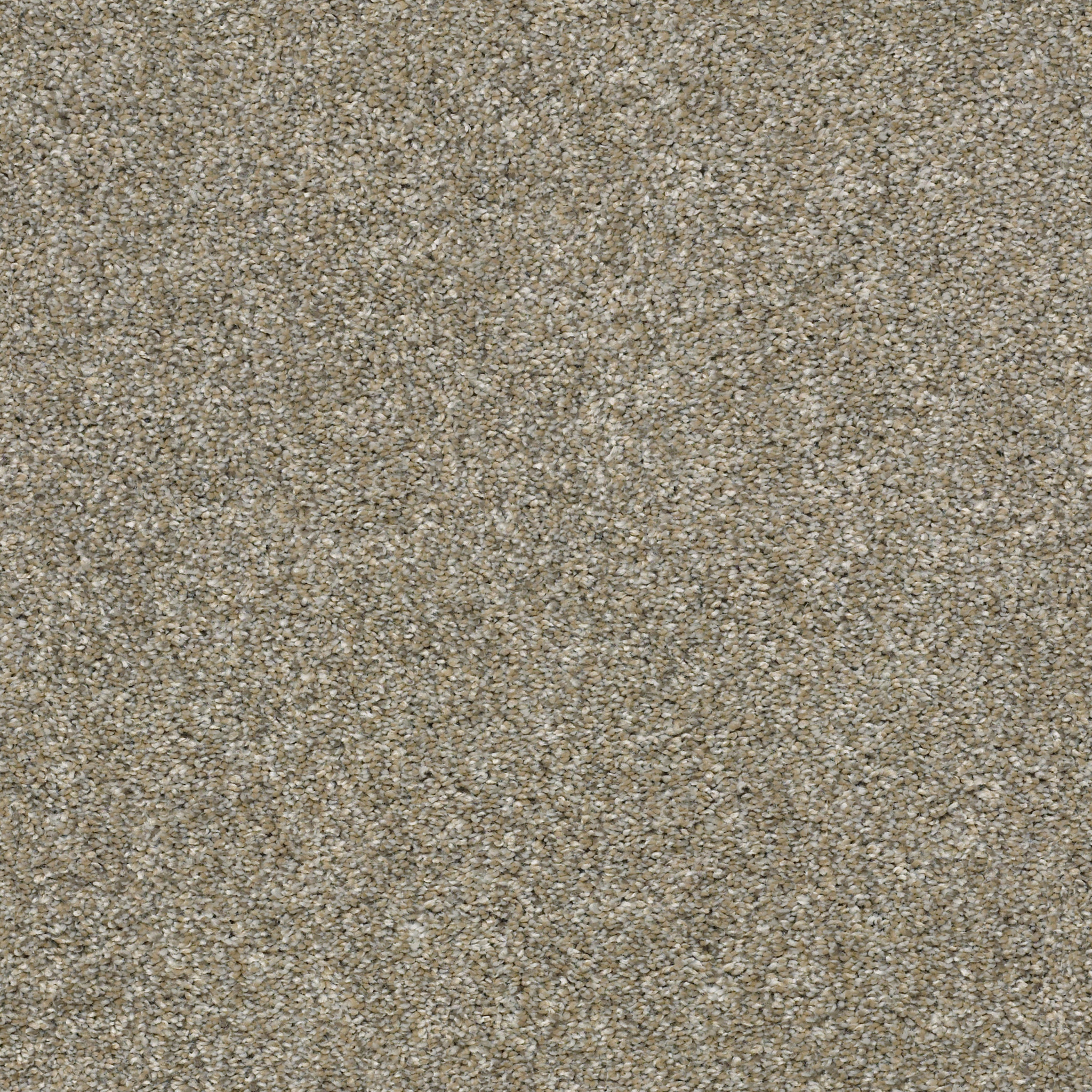 Fletcher Hall - Weathered - HGP82_00710