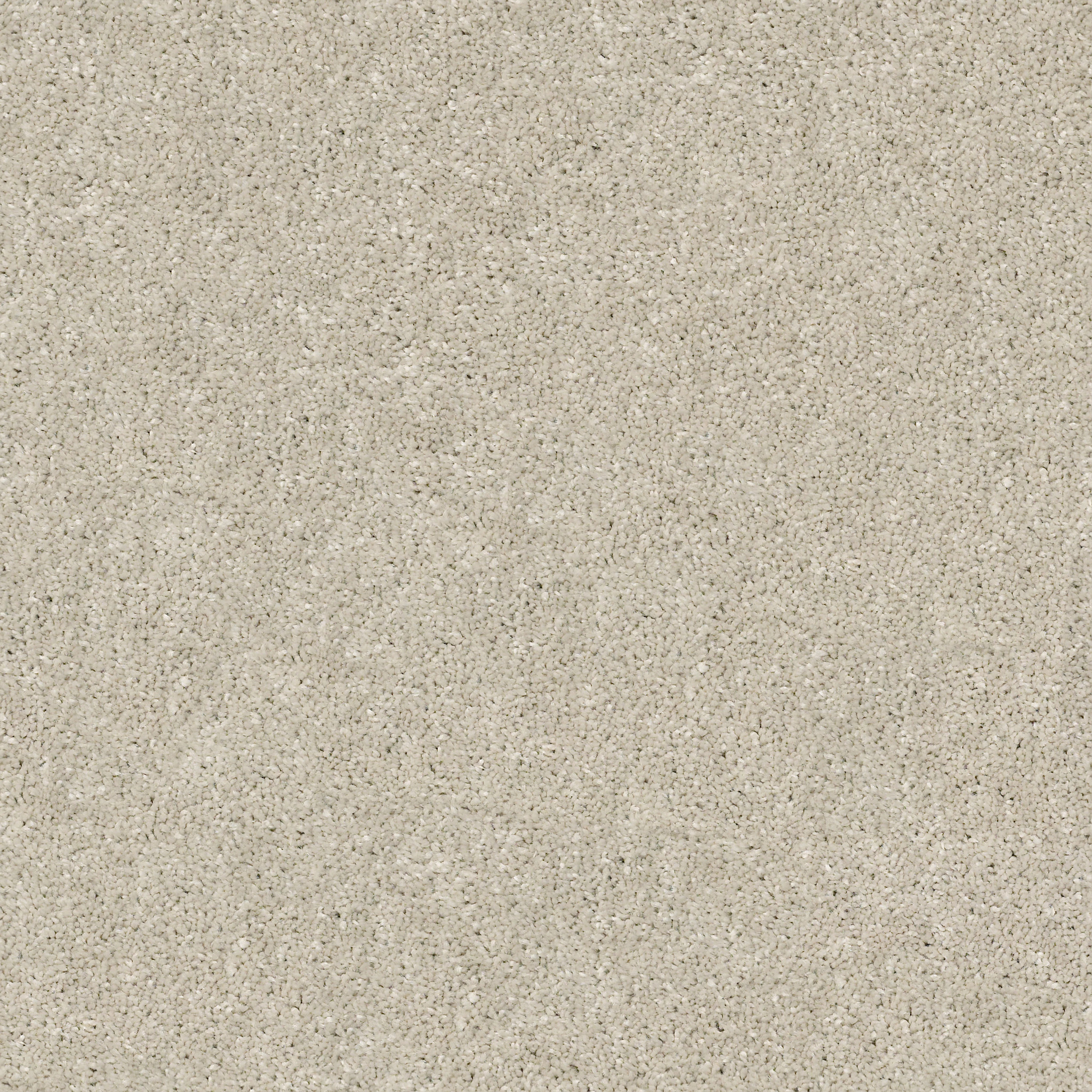 Fletcher Hall - Bird House - HGP82_00720