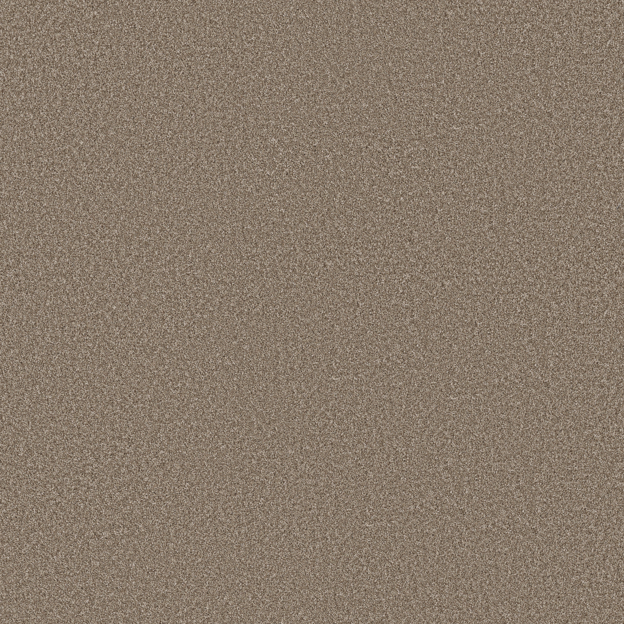 Fletcher Hall-Twig-HGP82_00740